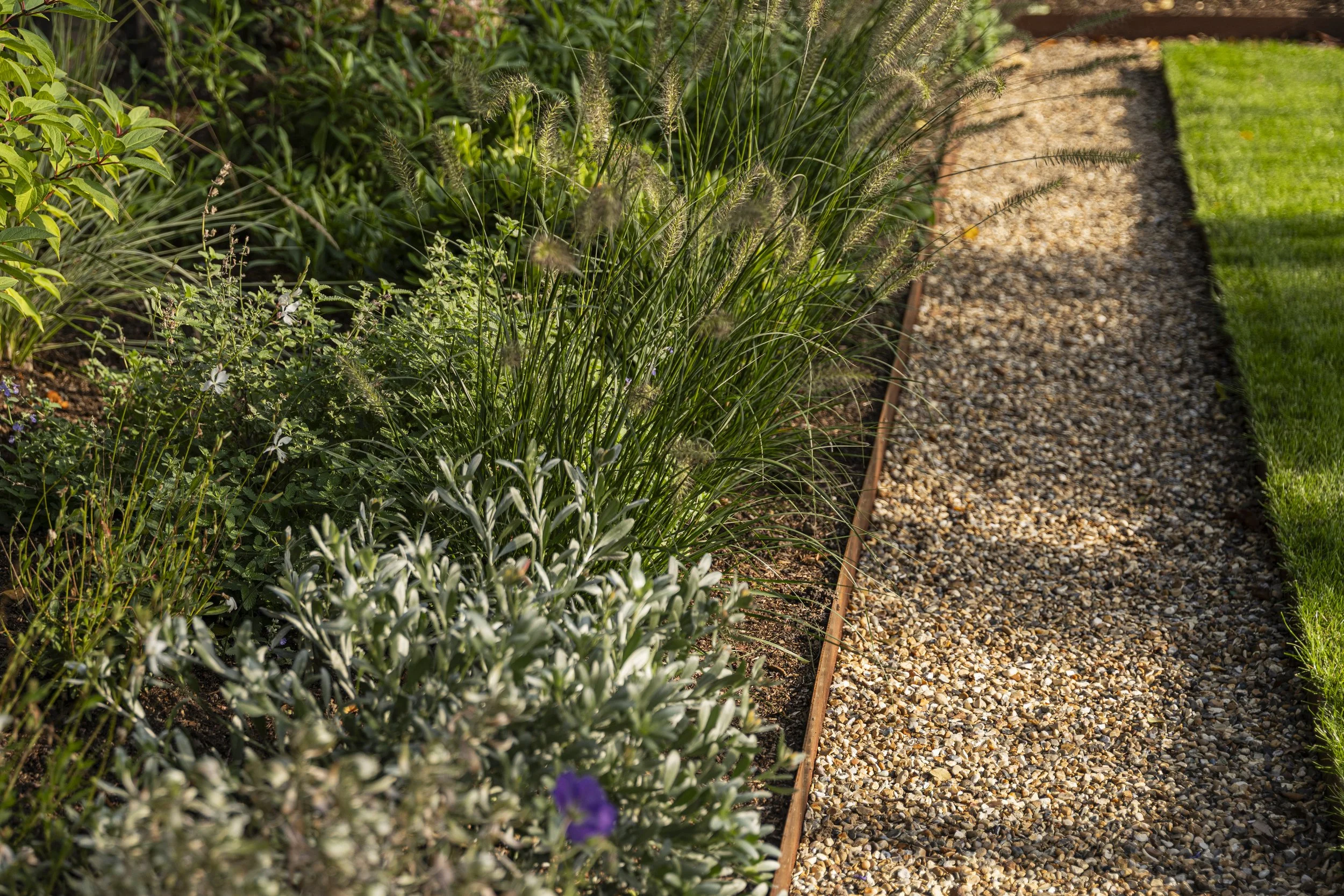 ©Emily-Hillier-Suburban-Garden-01-8509.jpg