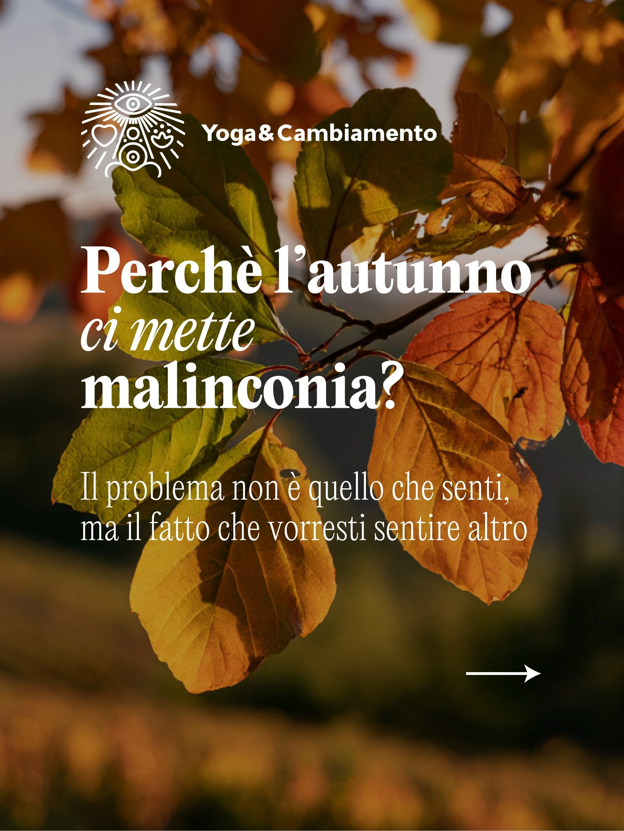 L&rsquo;autunno ci ricorda una cosa che spesso facciamo fatica ad accettare: tutto cambia.

Cambiano le stagioni, il corpo, le relazioni, i momenti della nostra vita.

E non sempre dobbiamo sentirci subito meglio, essere positive o liberarci delle em