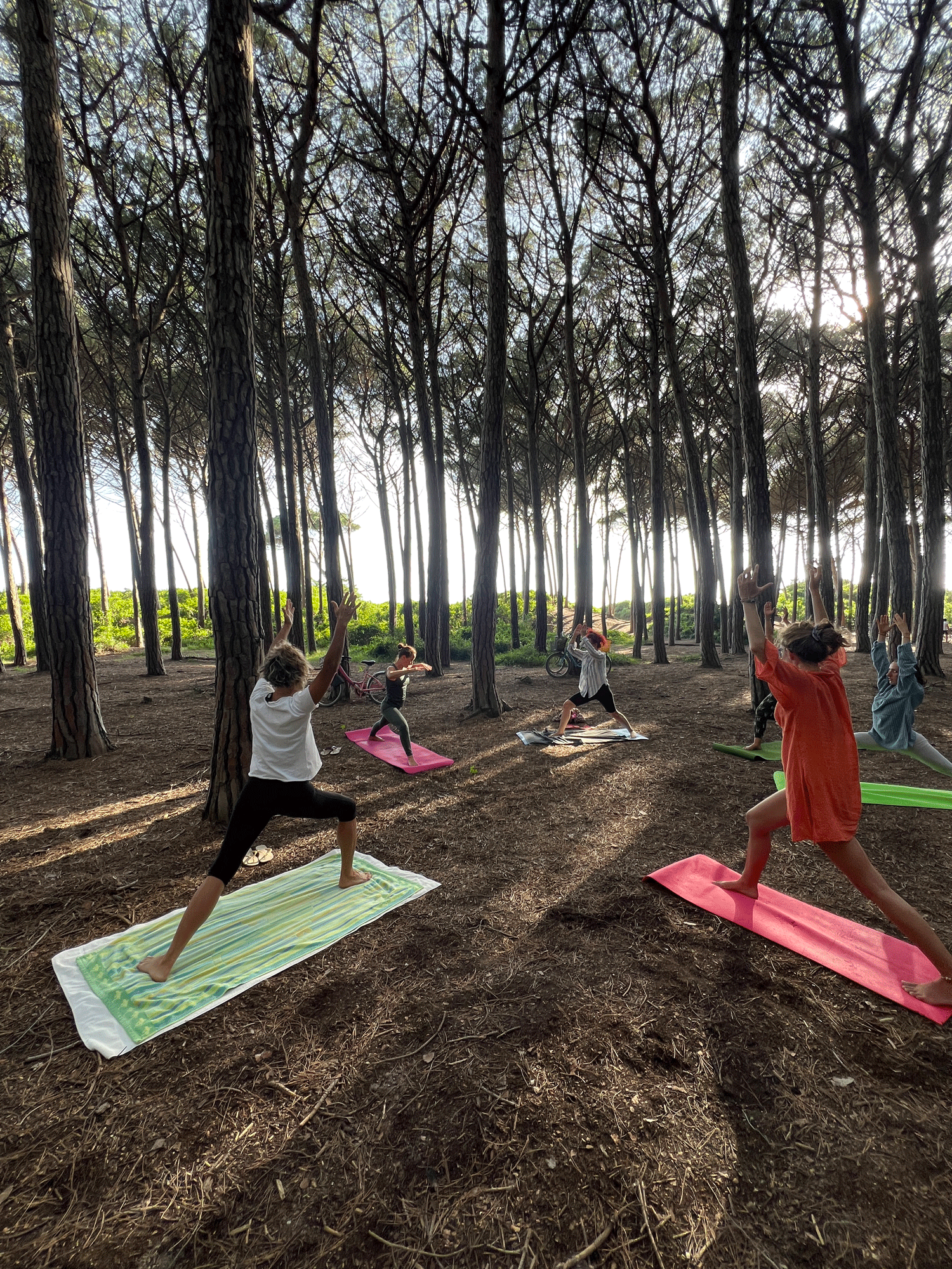 Lezione di yoga all'aperto nella Pineta delle Gorette a Marina di Cecina vicino al Camping Mare Blu