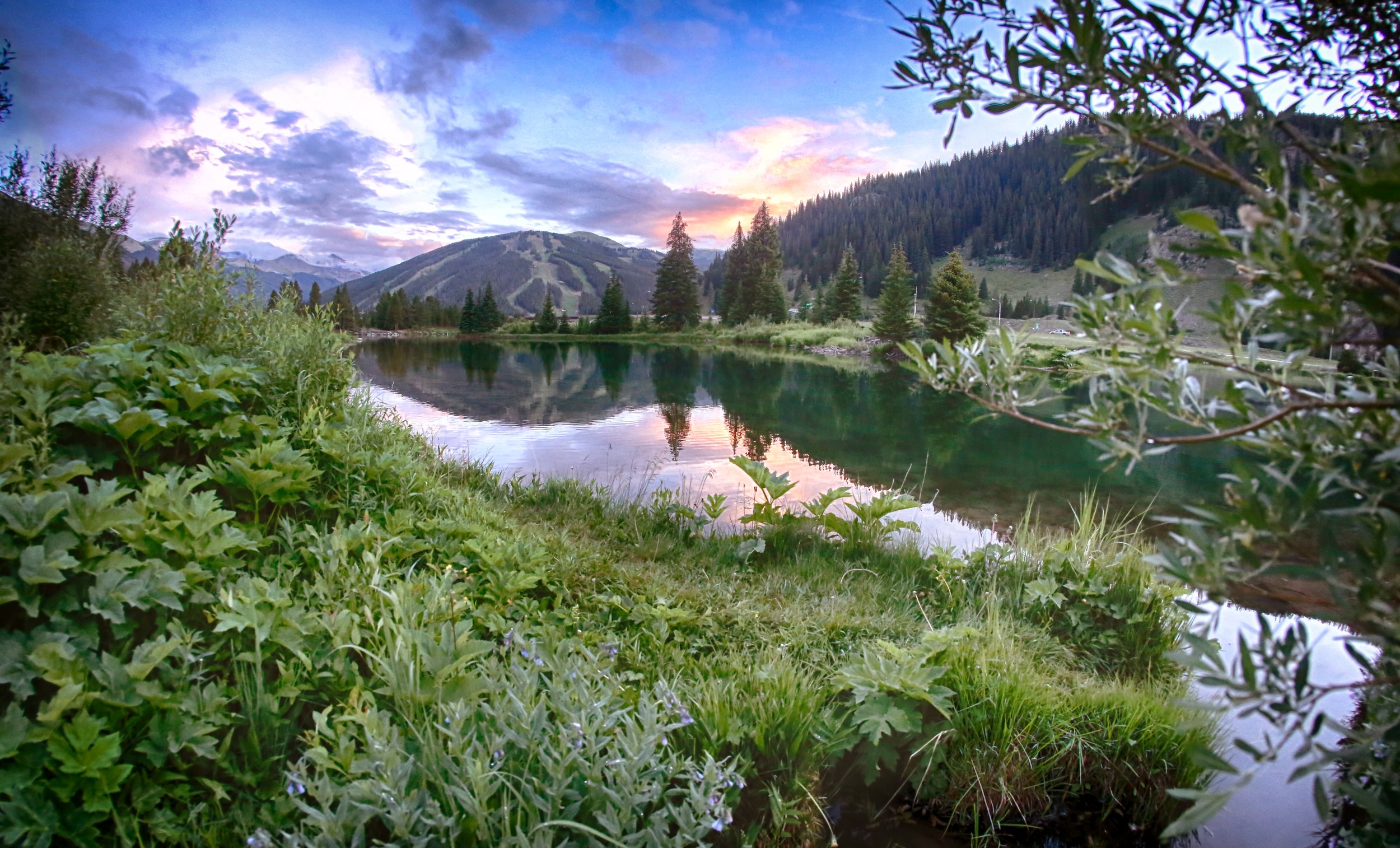 TrippFay_CopperMountain_SummerView.jpg