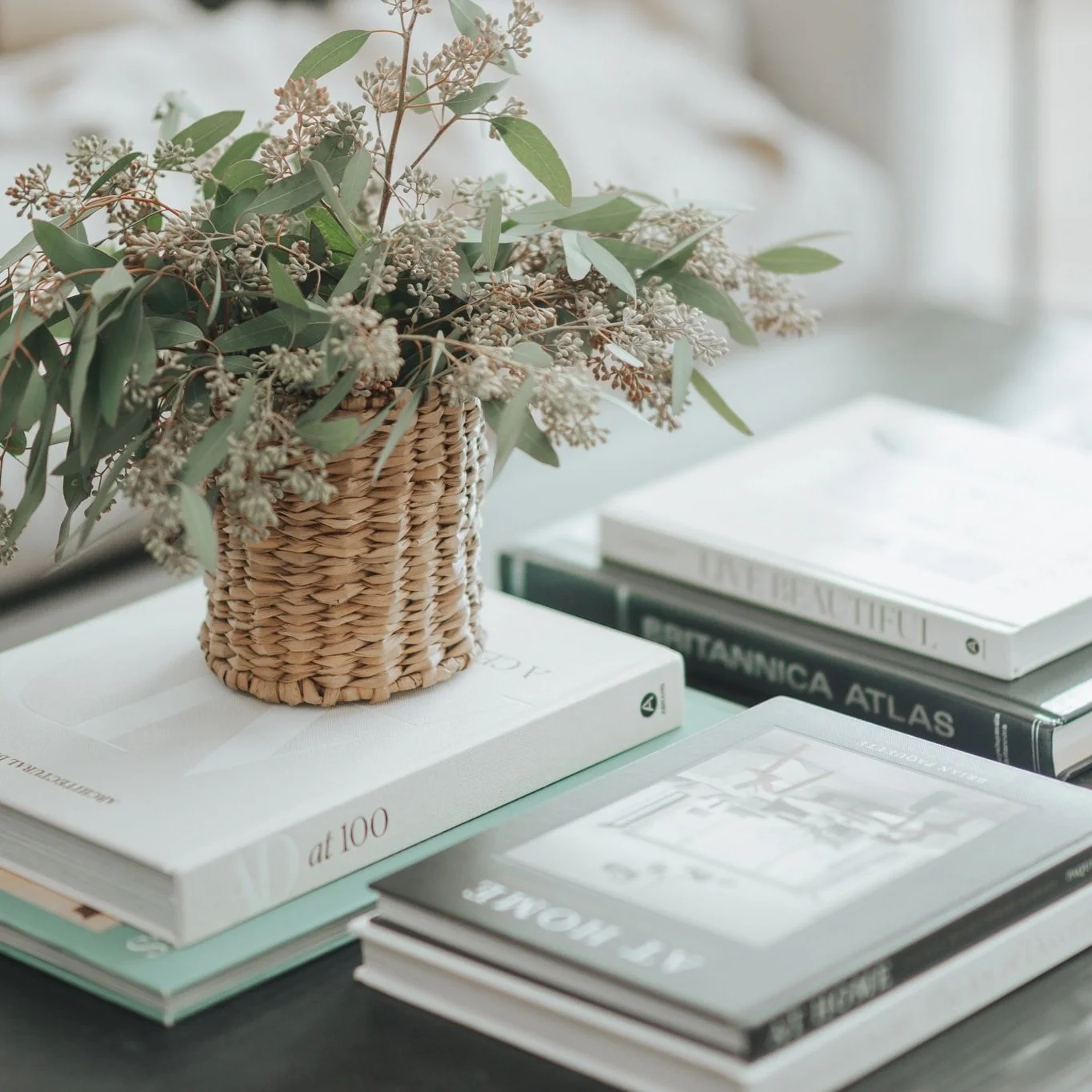 Profitable Designer Blueprint