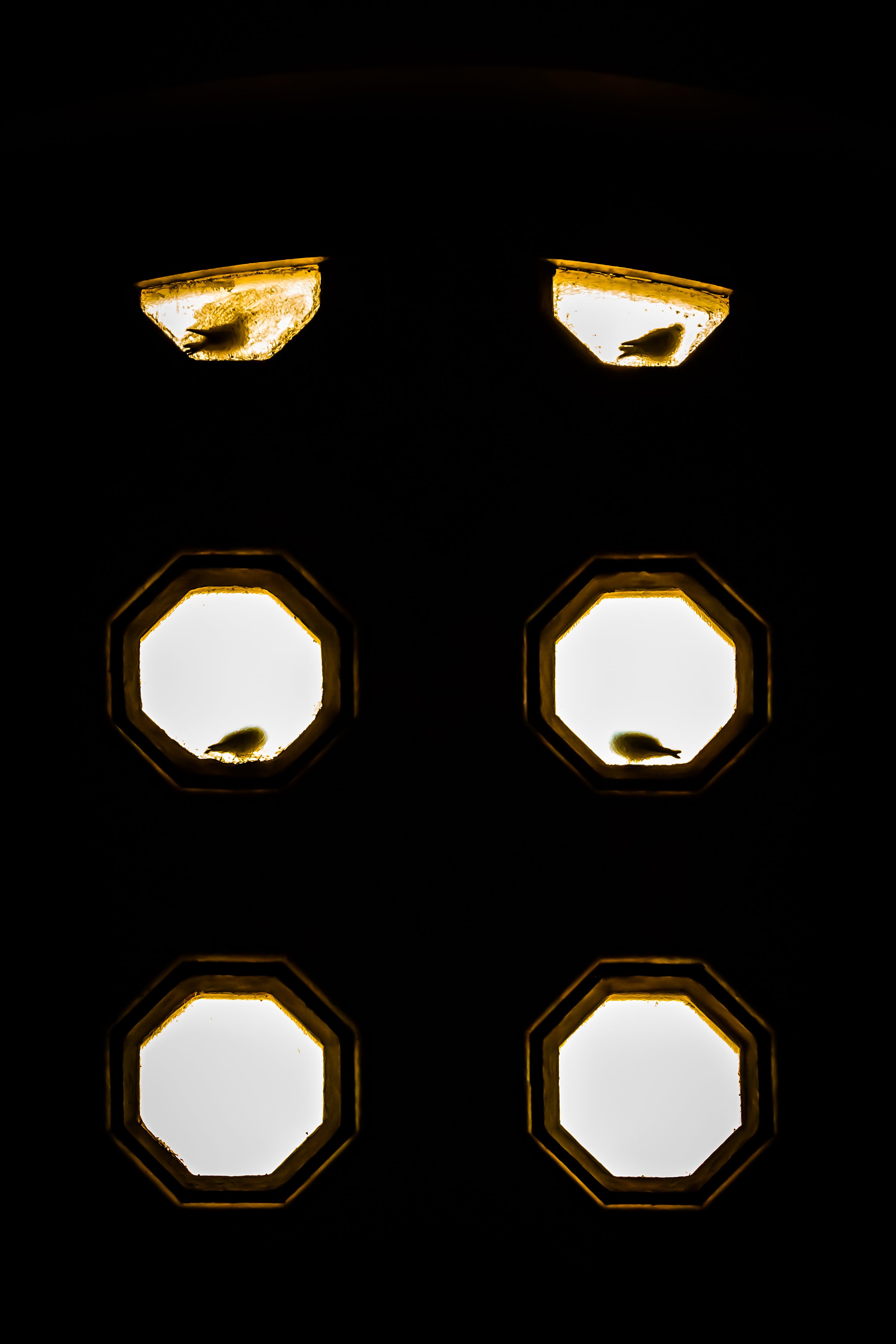 _RX73141.jpg