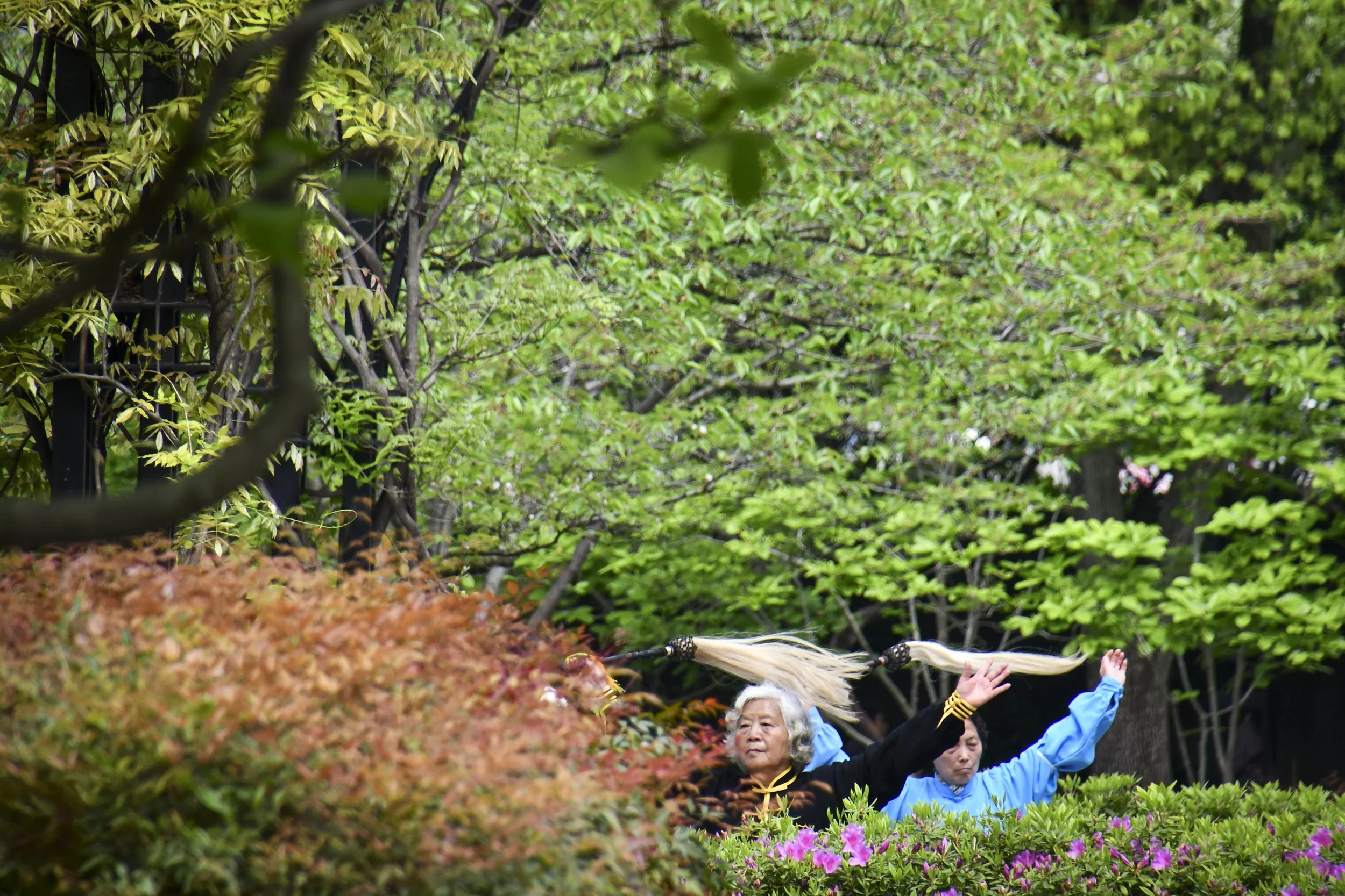 DSC_2163.jpg