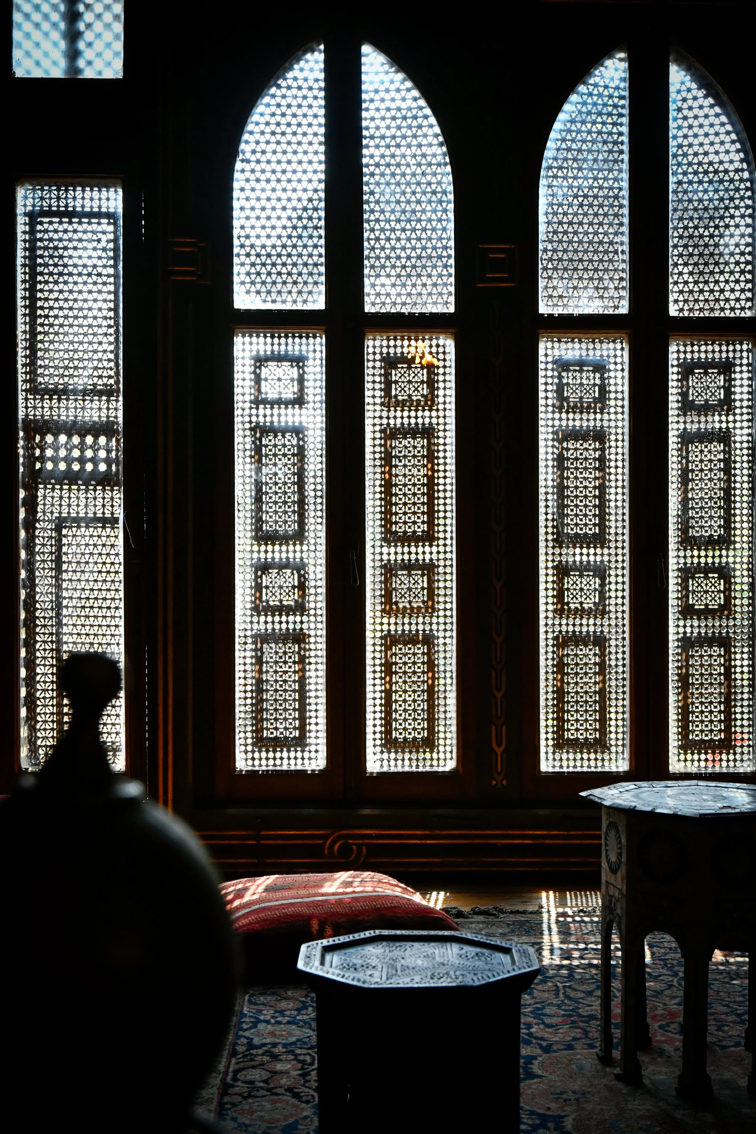 _3195358.jpg
