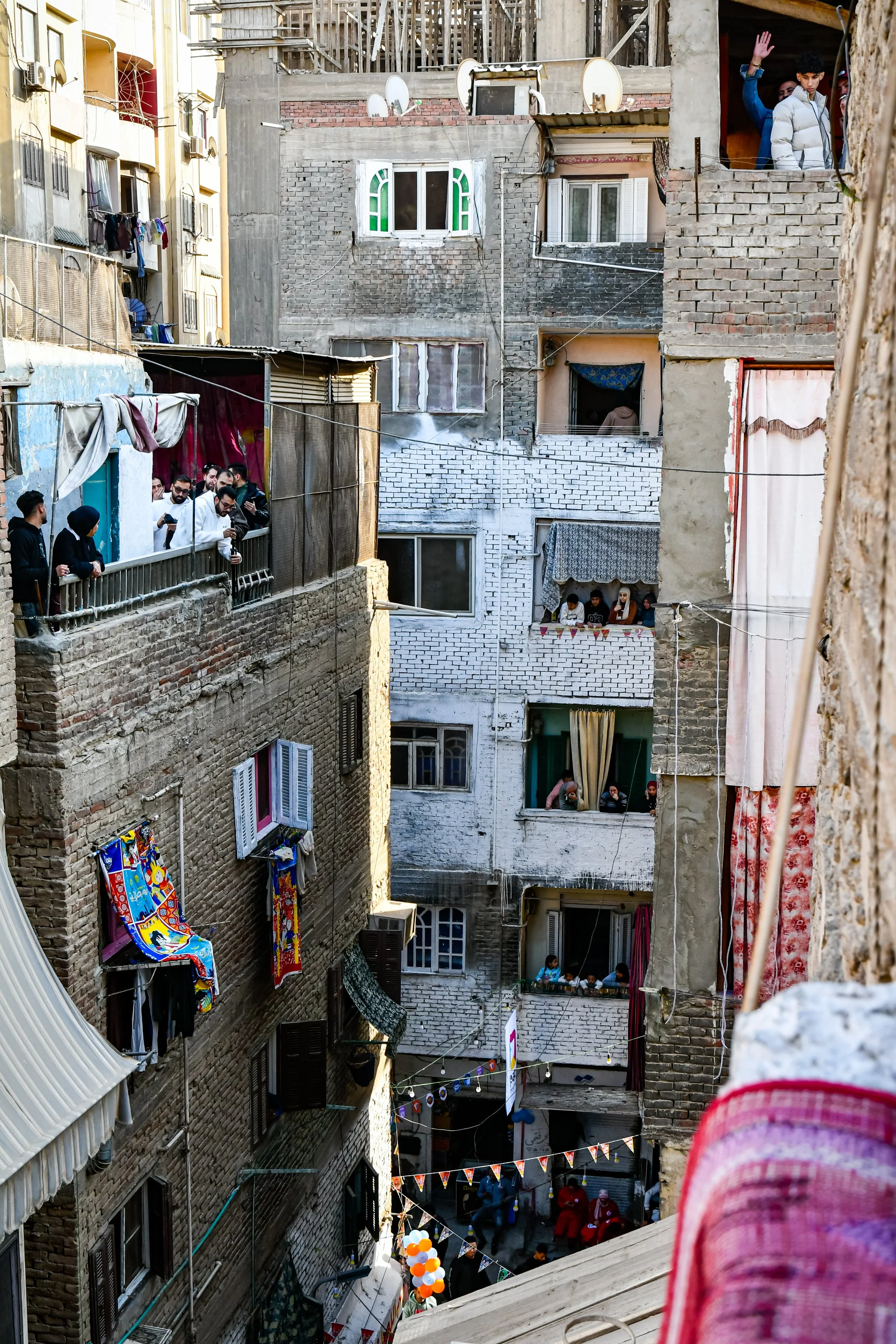 _3196187.jpg