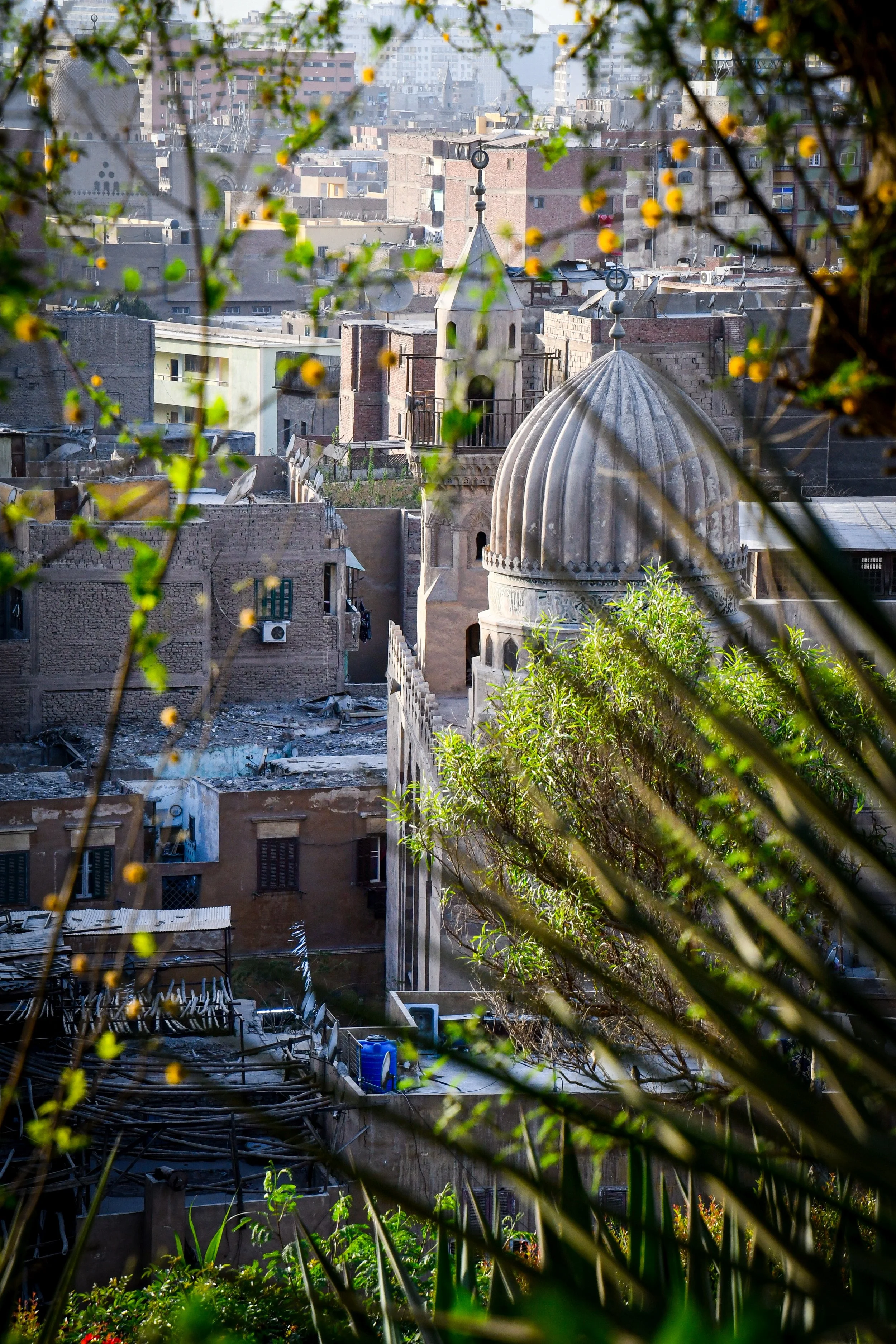 _3192377.jpg