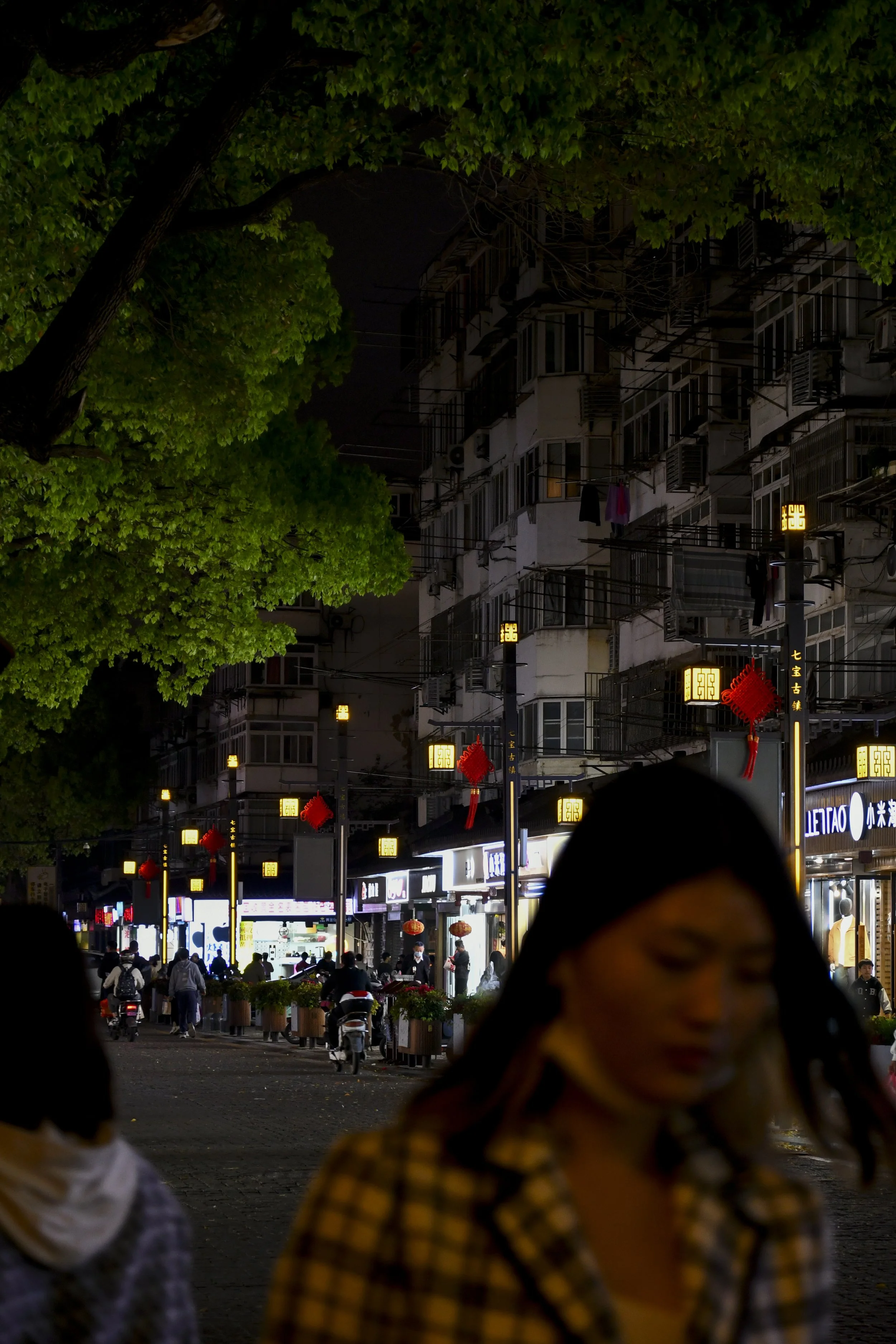 DSC_5656.jpg