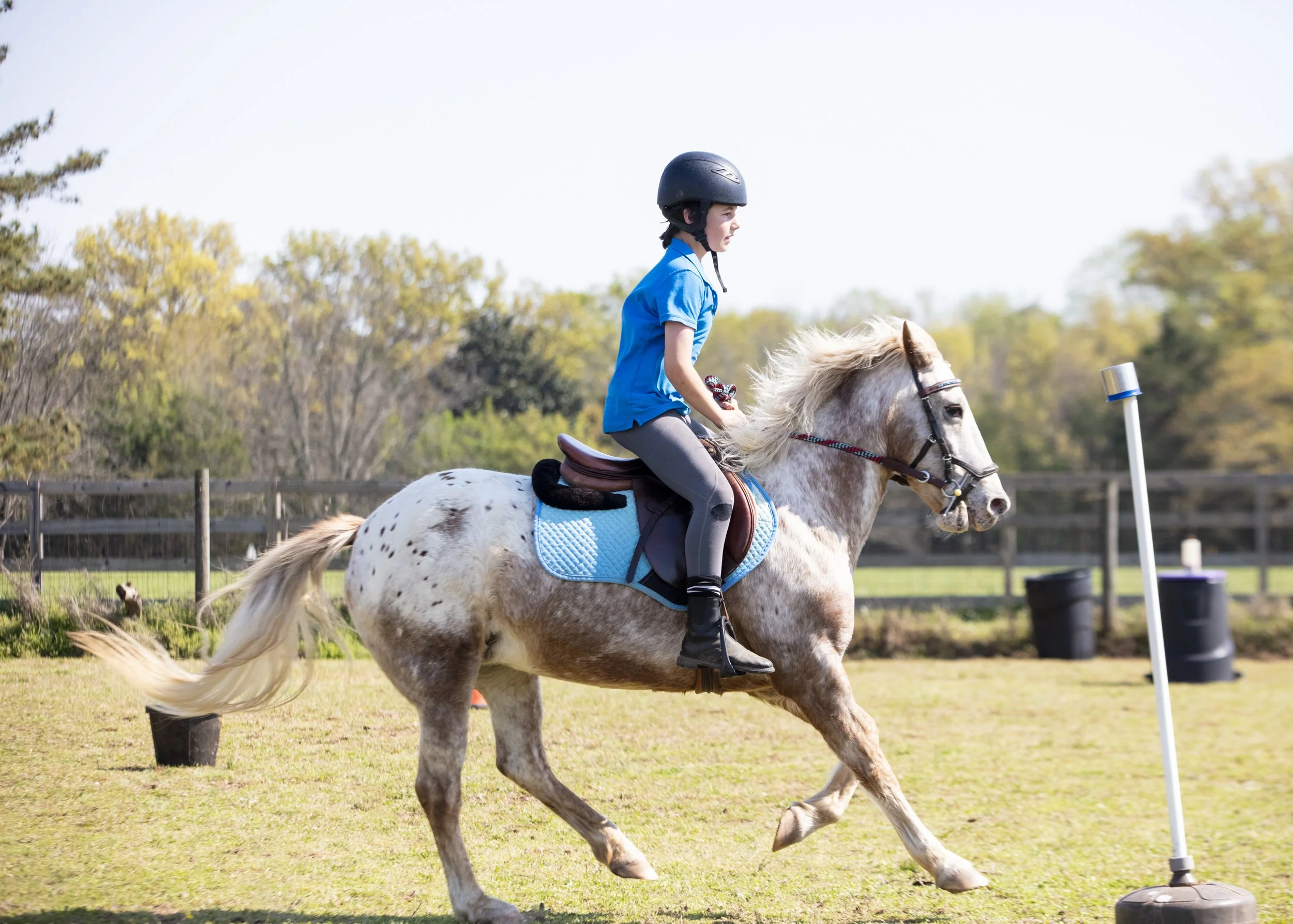 PMC-49-2.jpg
