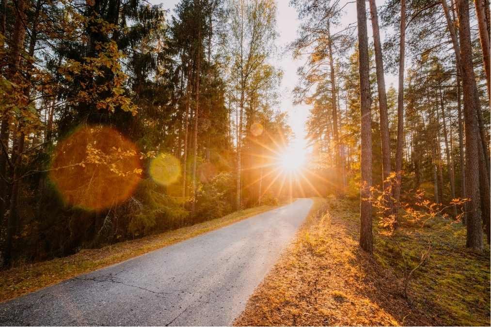7 Proven Ways to Protect Your Brain and Reduce Dementia Risk Naturally