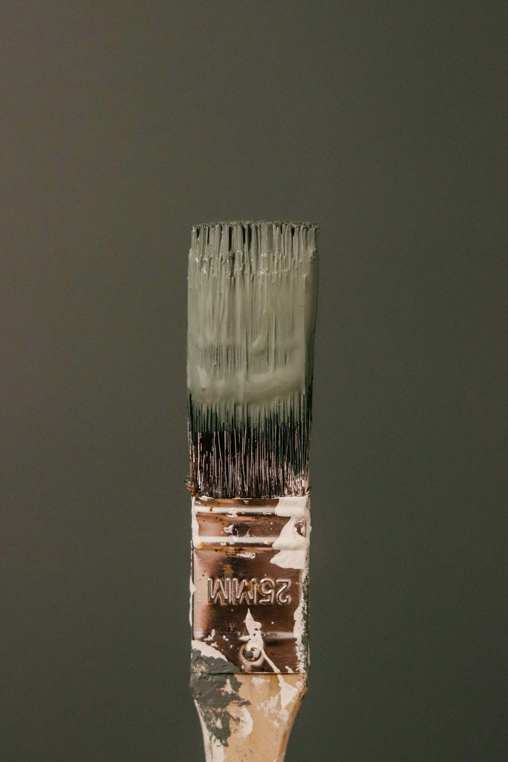 Close-up of a paintbrush with white paint against a blurred gray background.