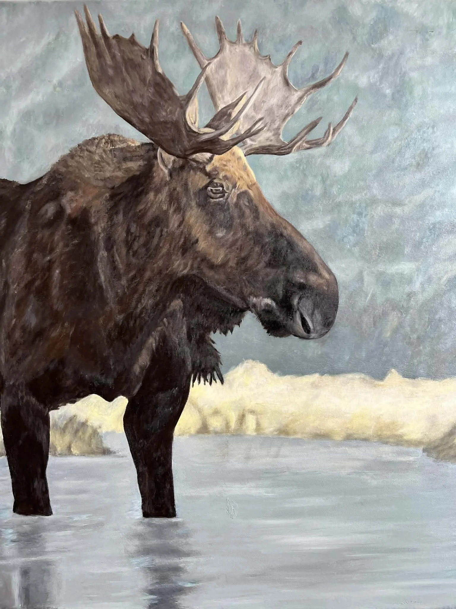 Painting of a moose standing in water with a shoreline and blurred mountain-scape in the background.