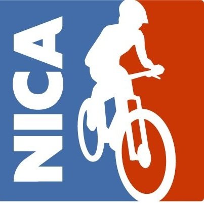 Texas NICA logo