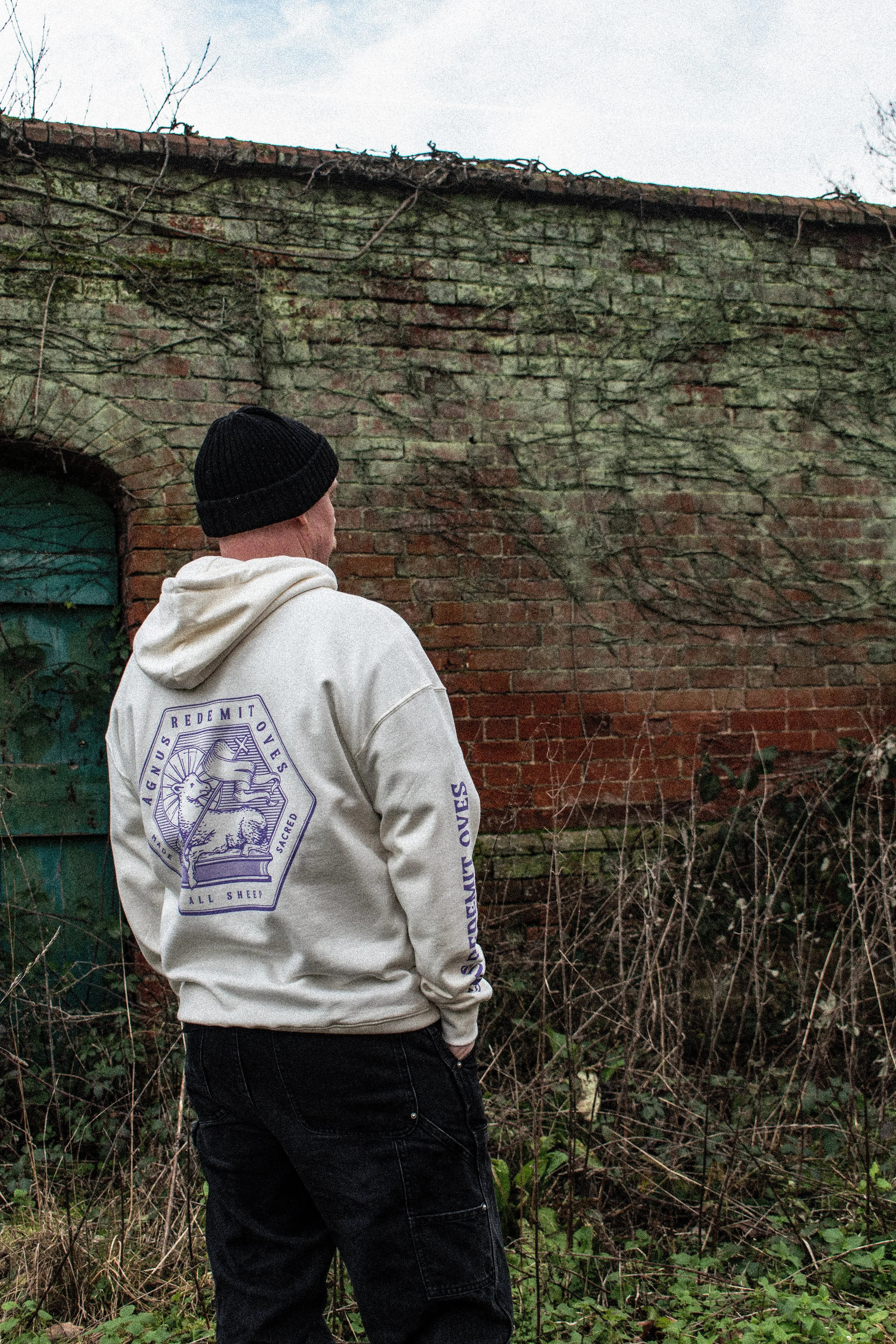 DSC_0534 copy small.jpg