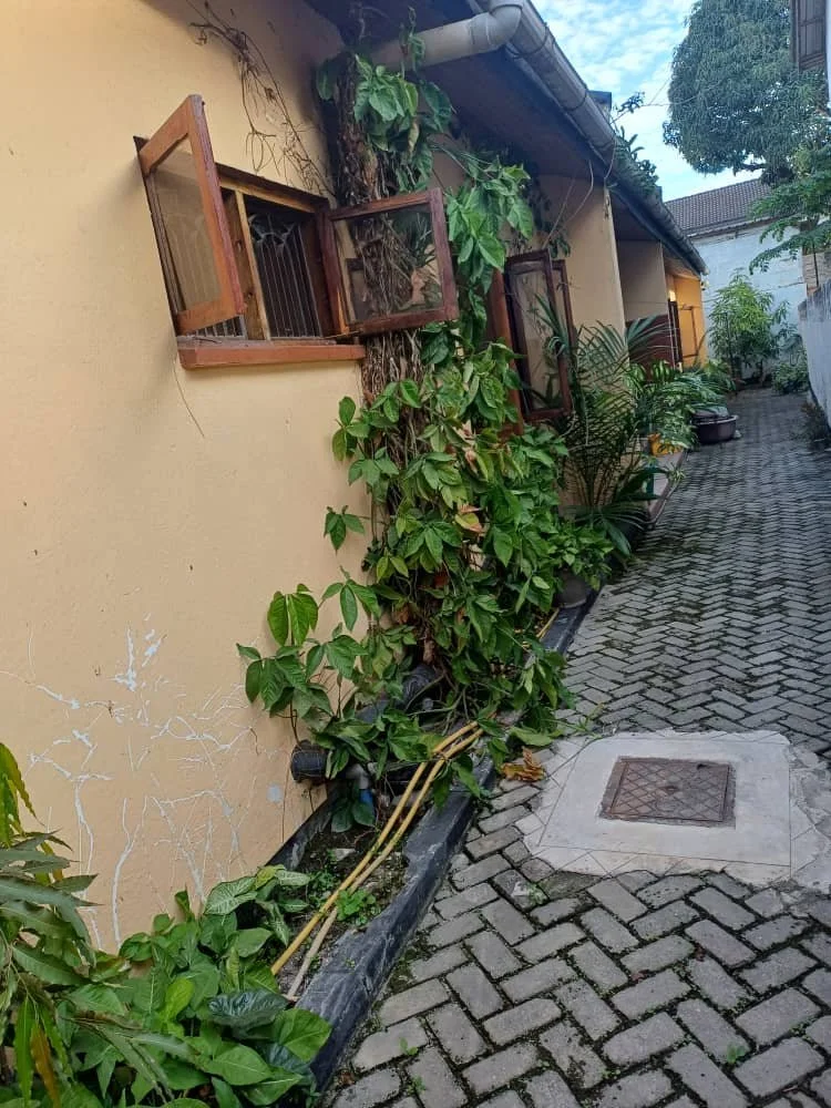 WhatsApp Image 2024-10-22 at 12.10.50.jpeg