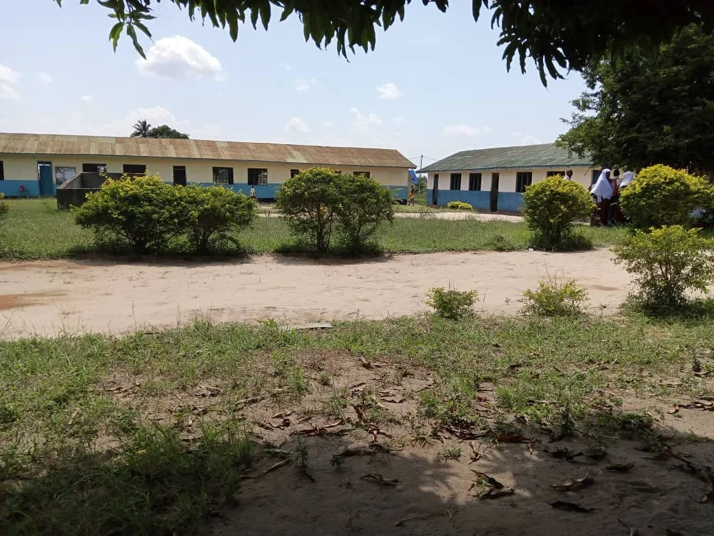 WhatsApp Image 2024-10-22 at 11.53.26 (1).jpeg