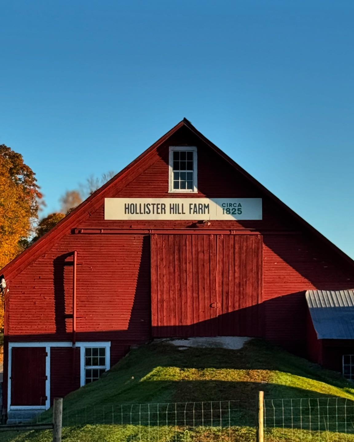 If you some need some last minute items on Thanksgiving, Hollister Hill Farm store will be open 8ish to 5ish. We have milk, cheese, meats, garlic, pies, and more. #OpenThanksgiving  #vermontfarmstore #vermontfarm
