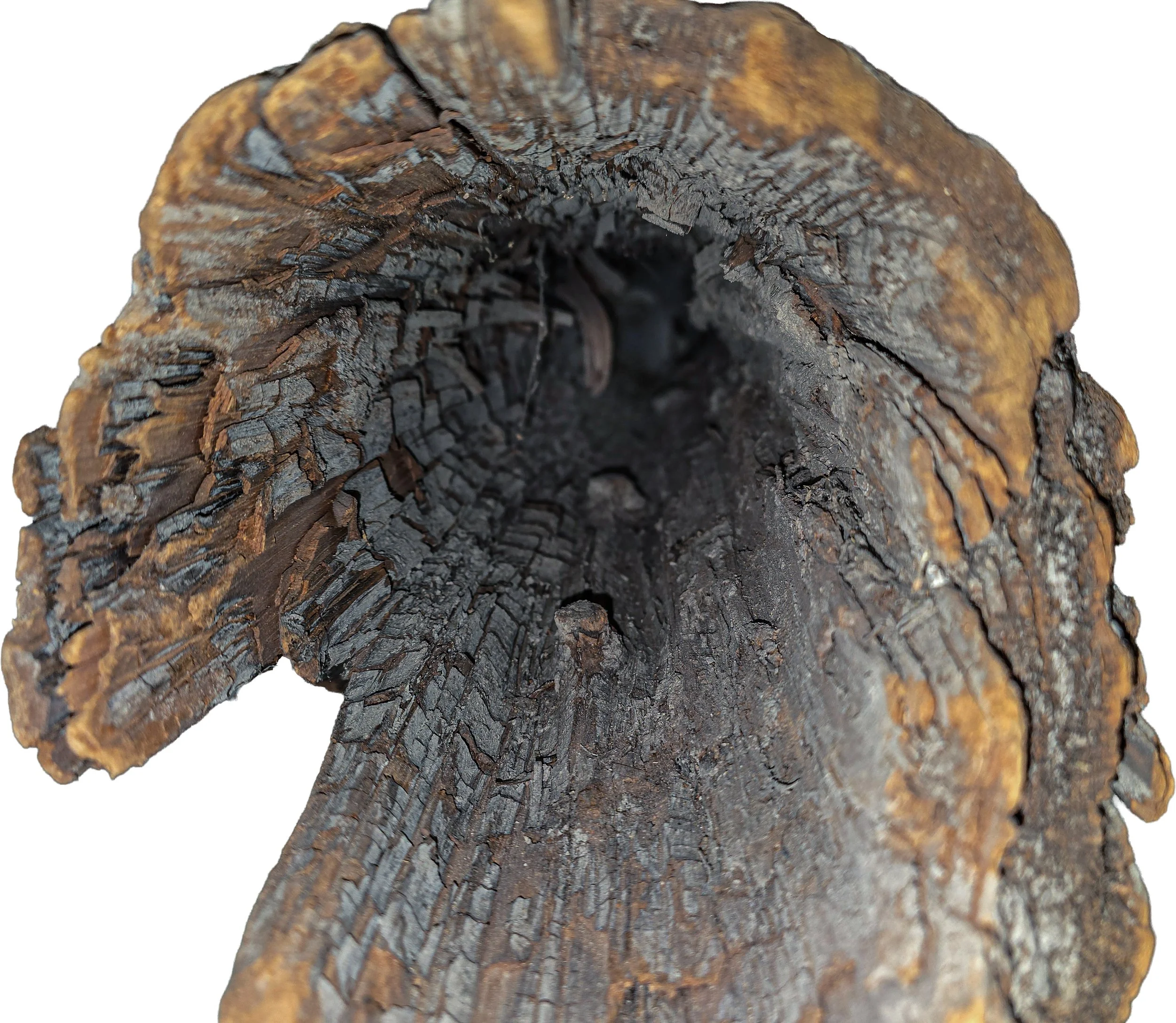 When a Log is Not a Log: Behind the Scenes in Exhibit Research