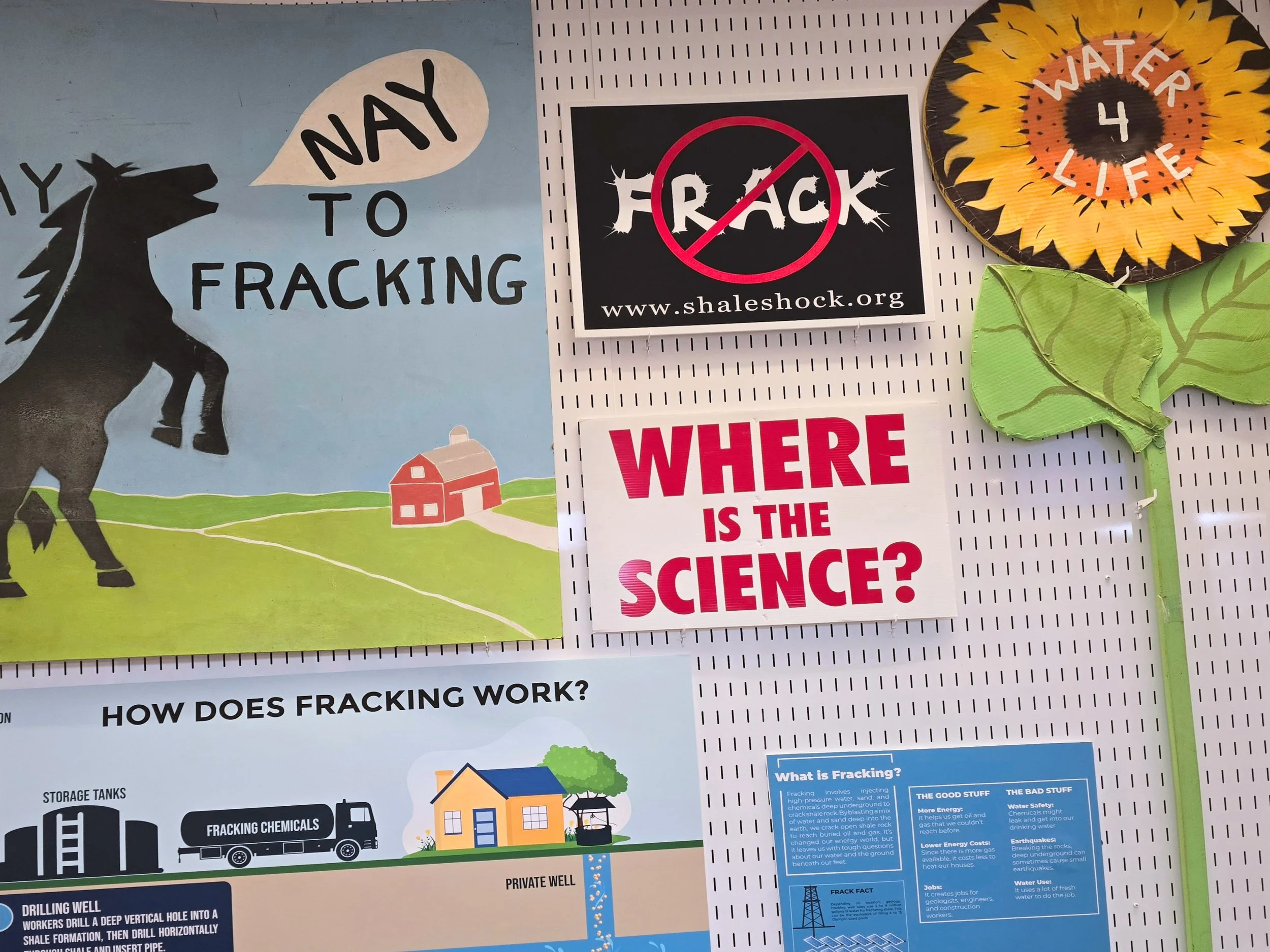 Environmental History Presentation from Ithaca College Student Researchers