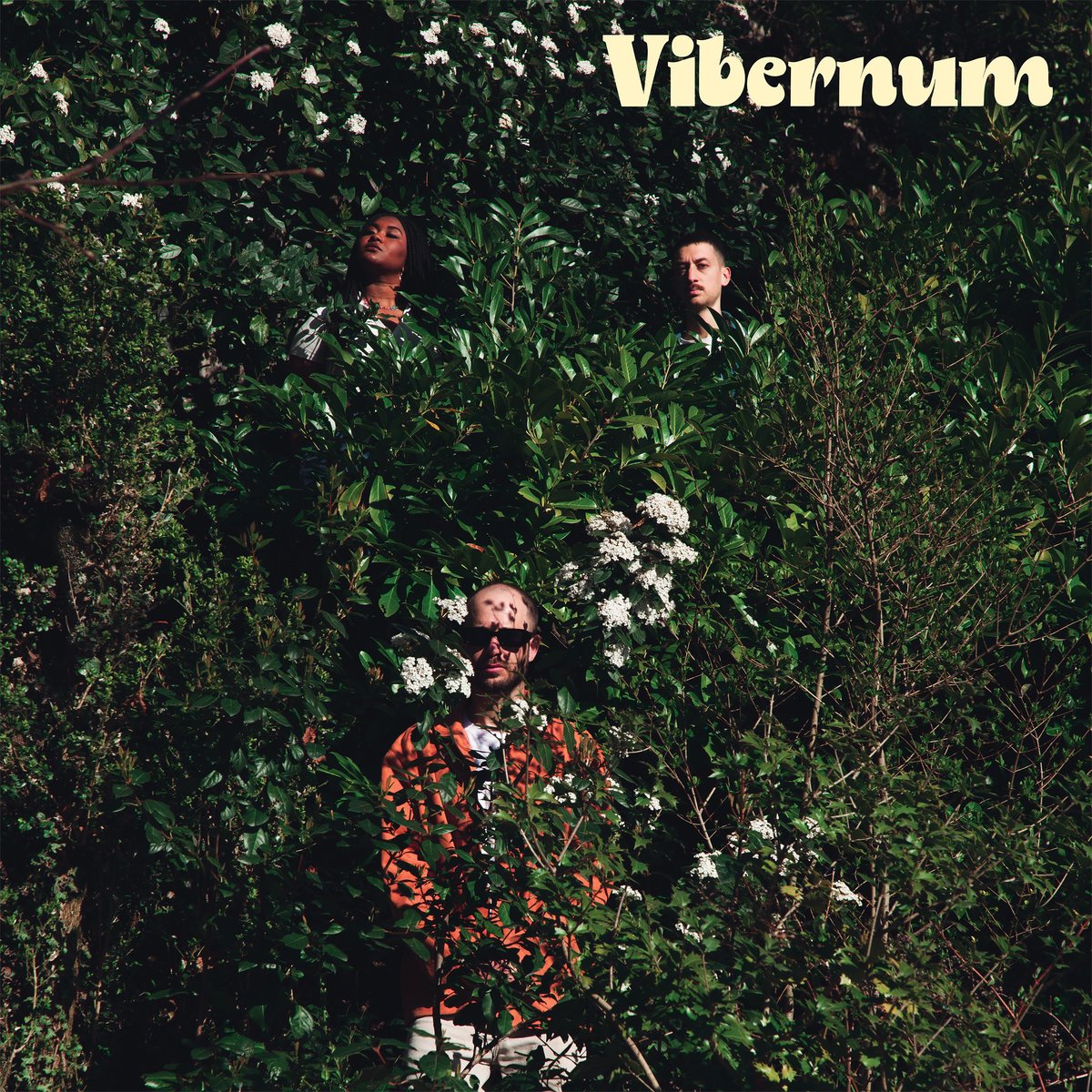 vibernum presskit.jpg