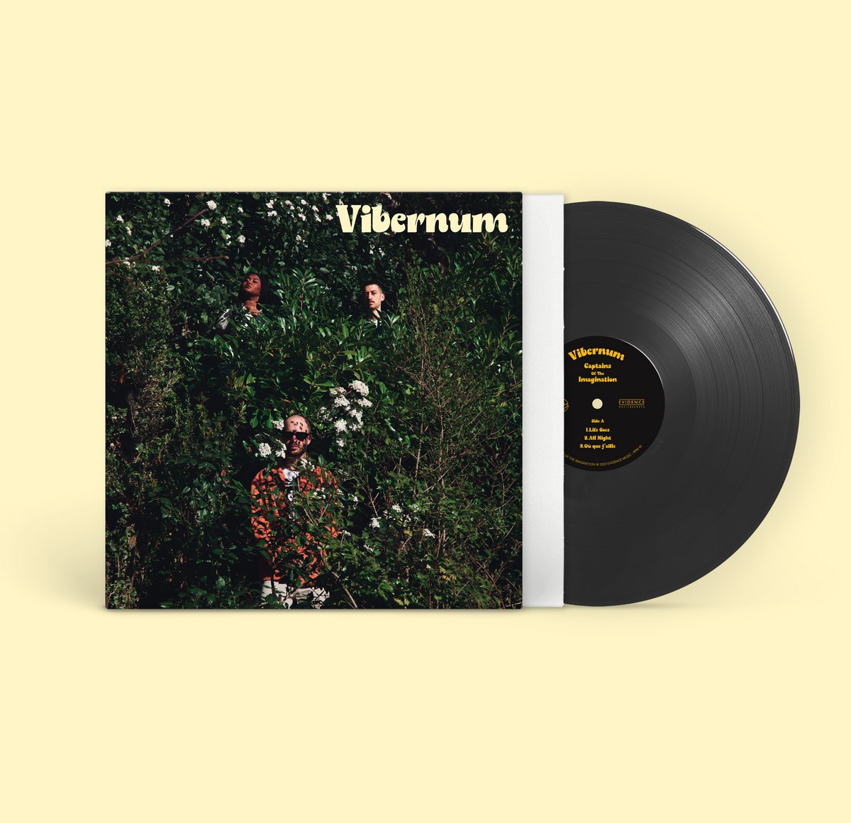 vibernum vinyl mockup.jpg