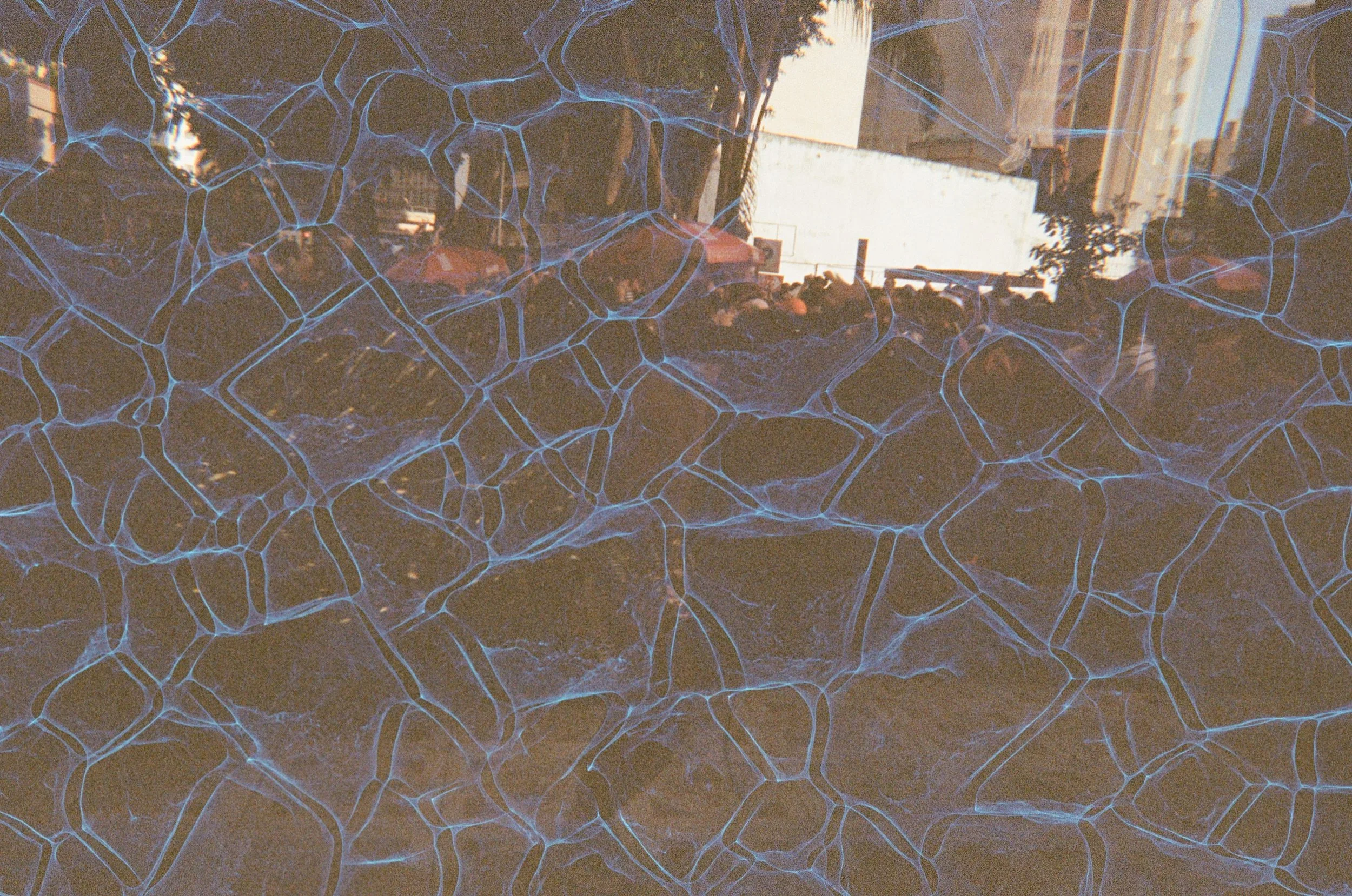 Scan51068.jpg