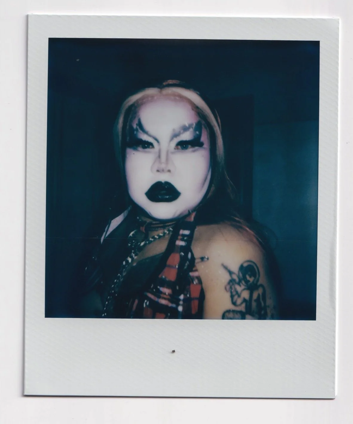 Polaroids Heteronormadiva 260417.jpeg