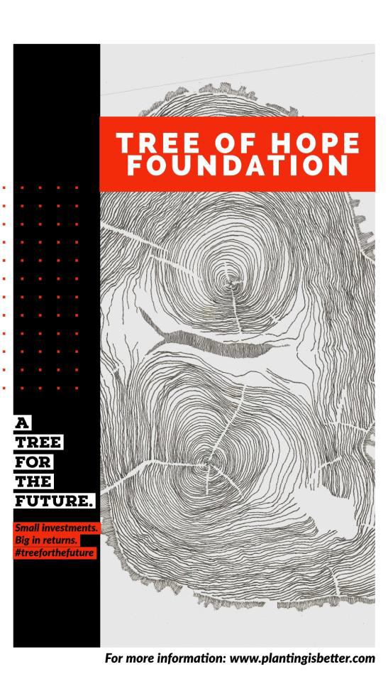 SOFTCOPY PORTFOLIO FINAL 6-6.png