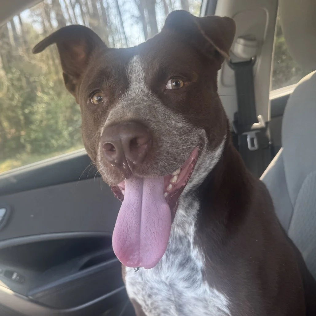 RALPHIE