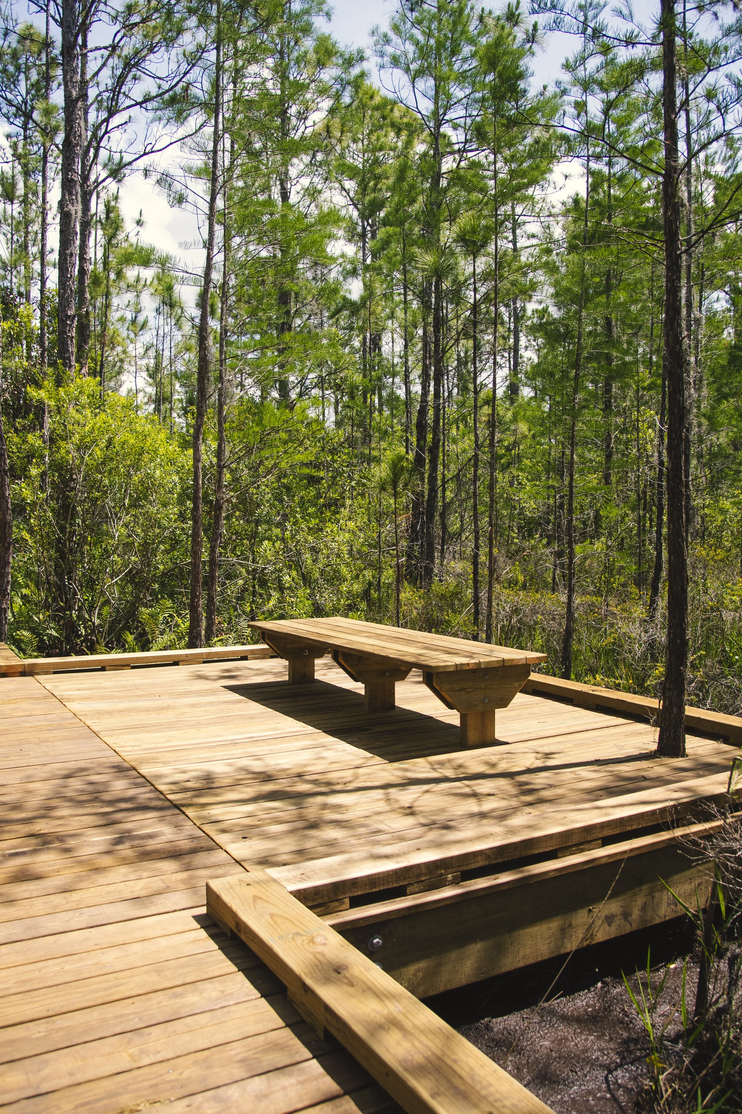TavistockBoardwalk-21.jpg