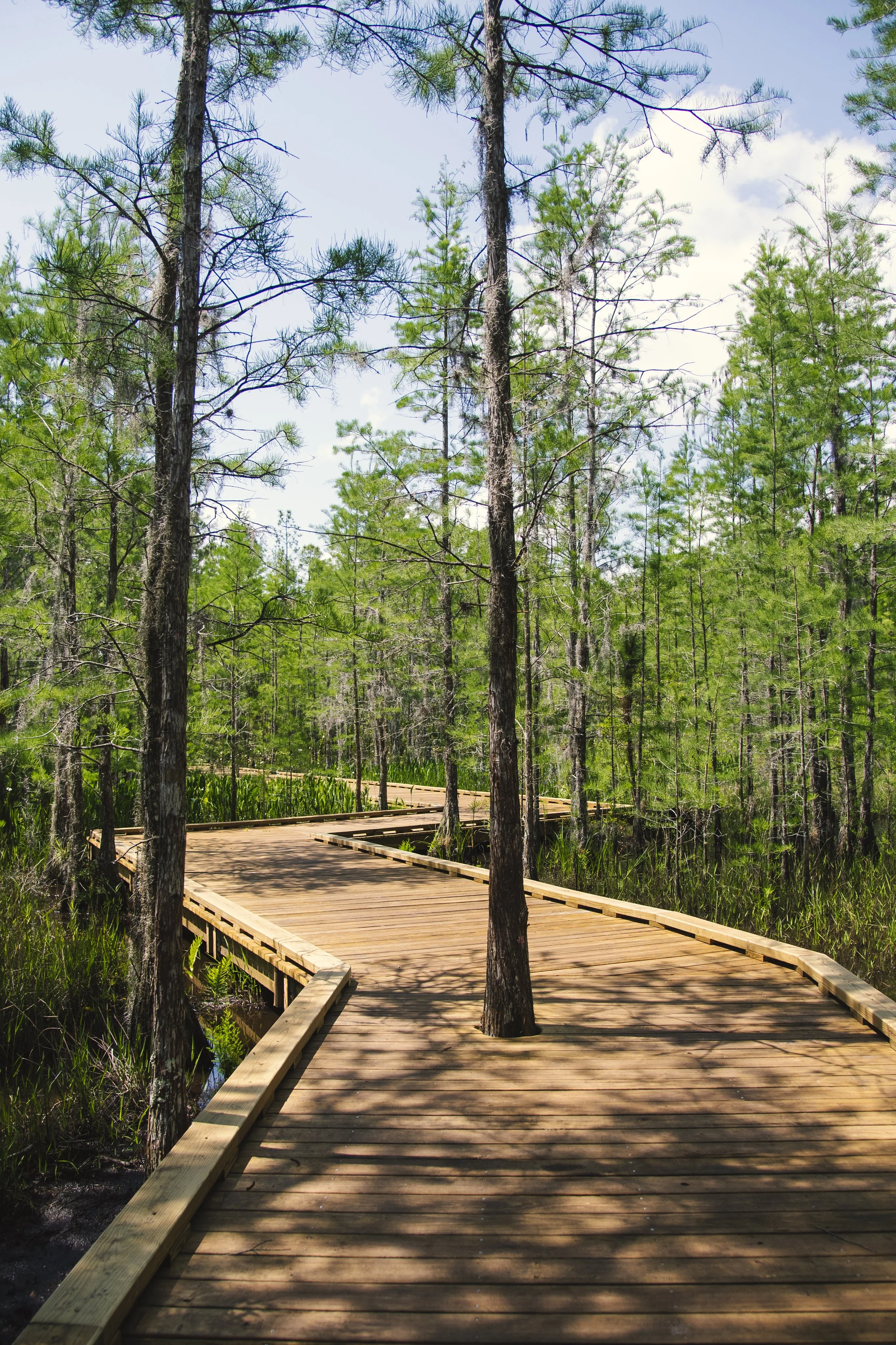 TavistockBoardwalk-23.jpg