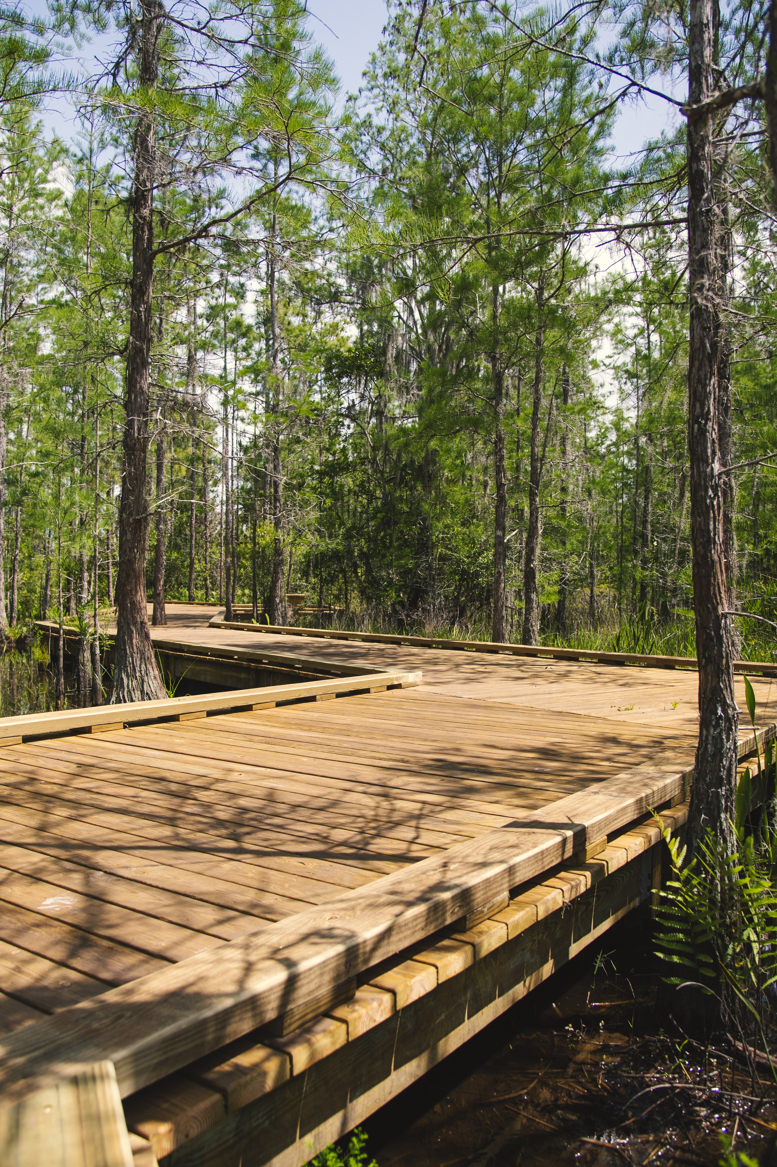 TavistockBoardwalk-29.jpg