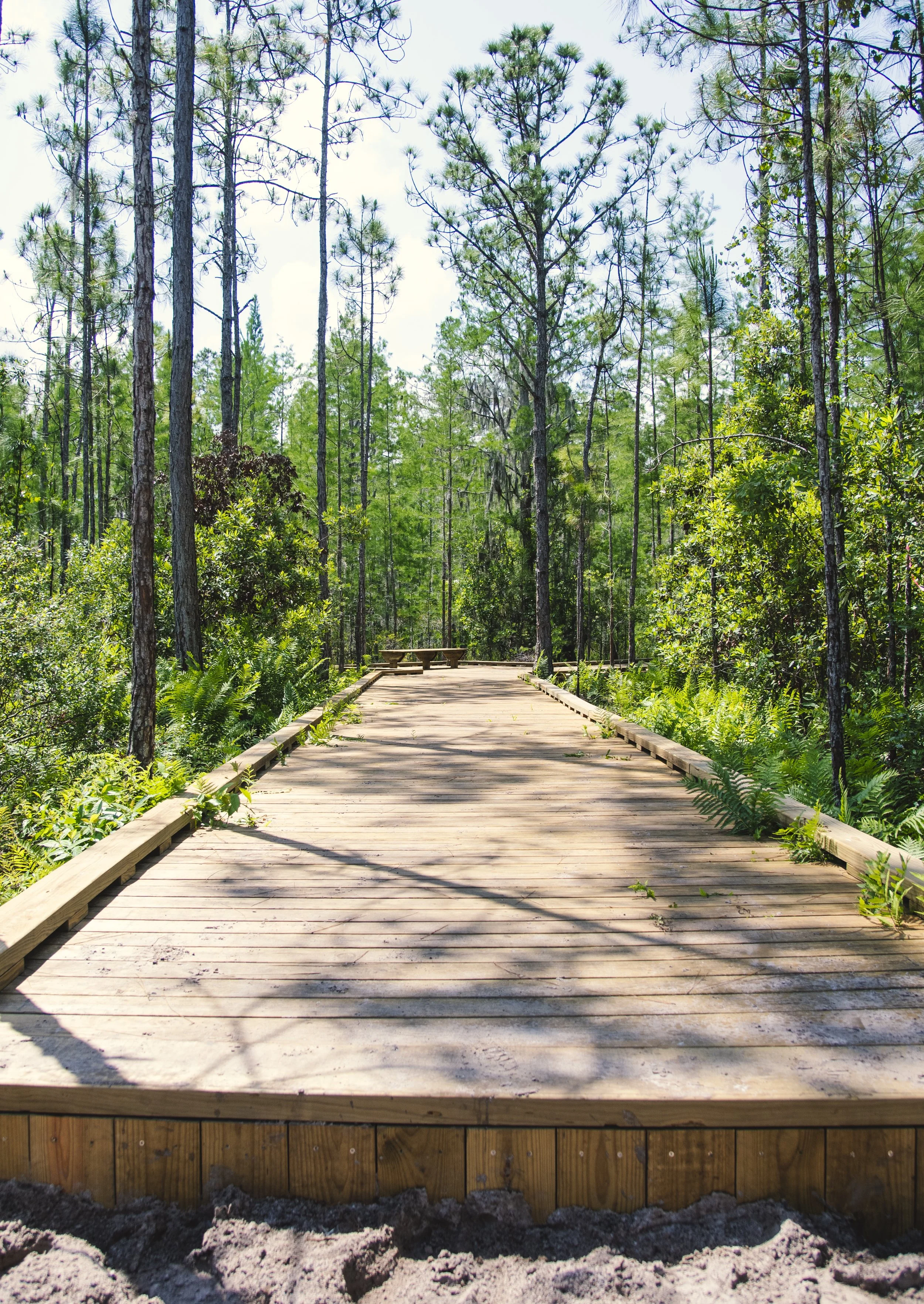 TavistockBoardwalk-17.jpg