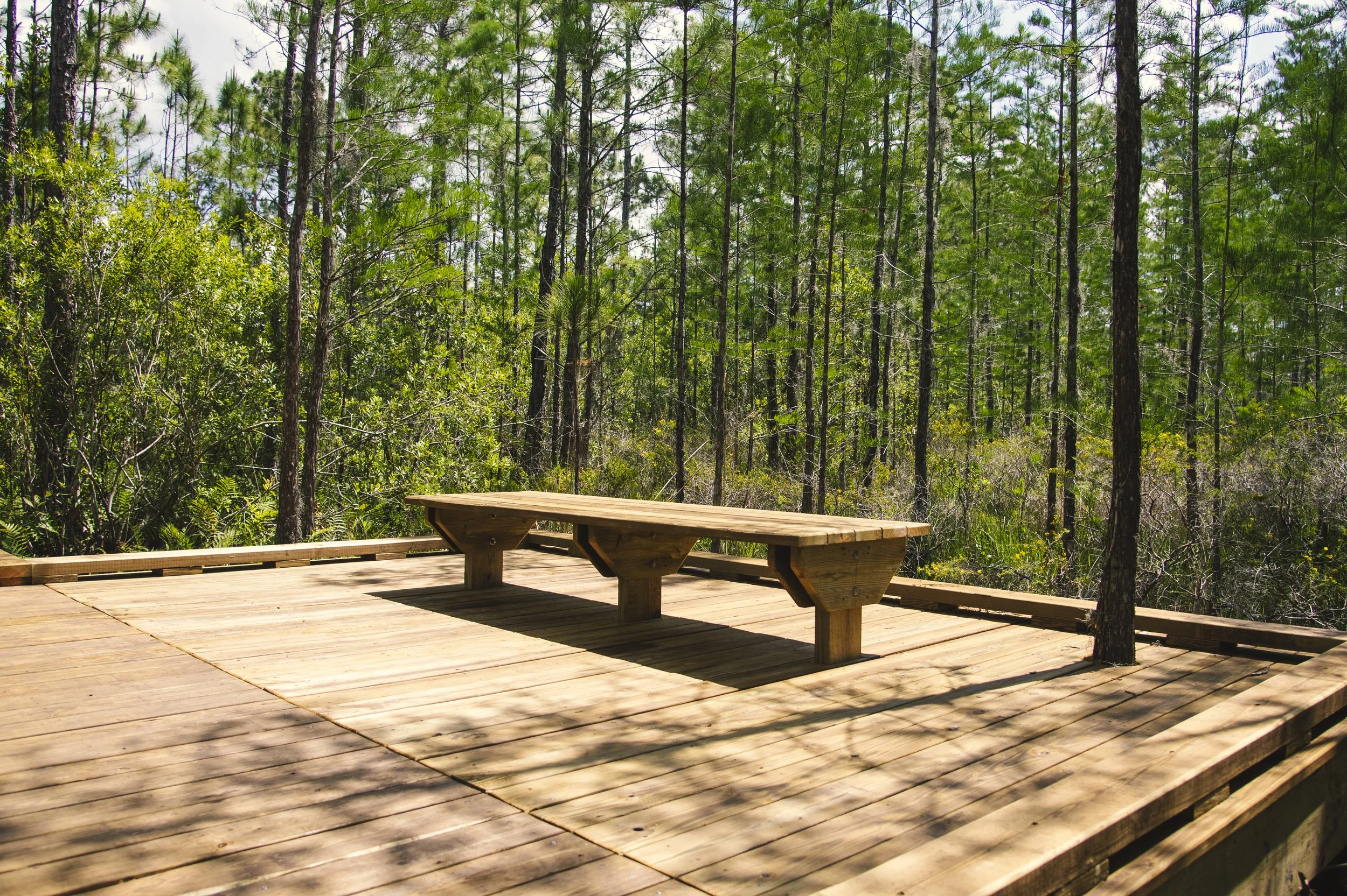 A wooden deck with benches is set in a forest of tall pine trees in St. Cloud. Boardwalk built by marine contractor.