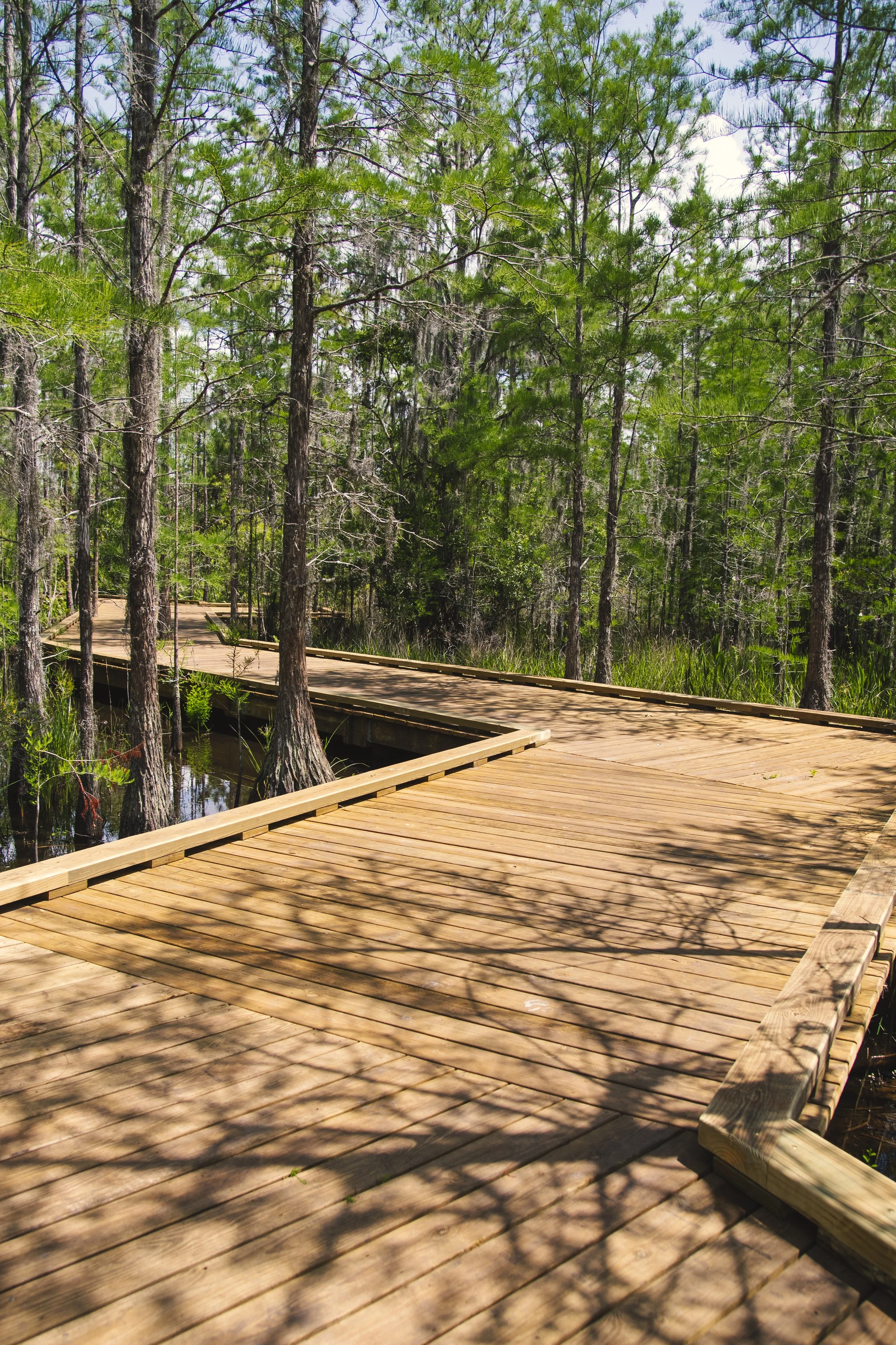 TavistockBoardwalk-31.jpg