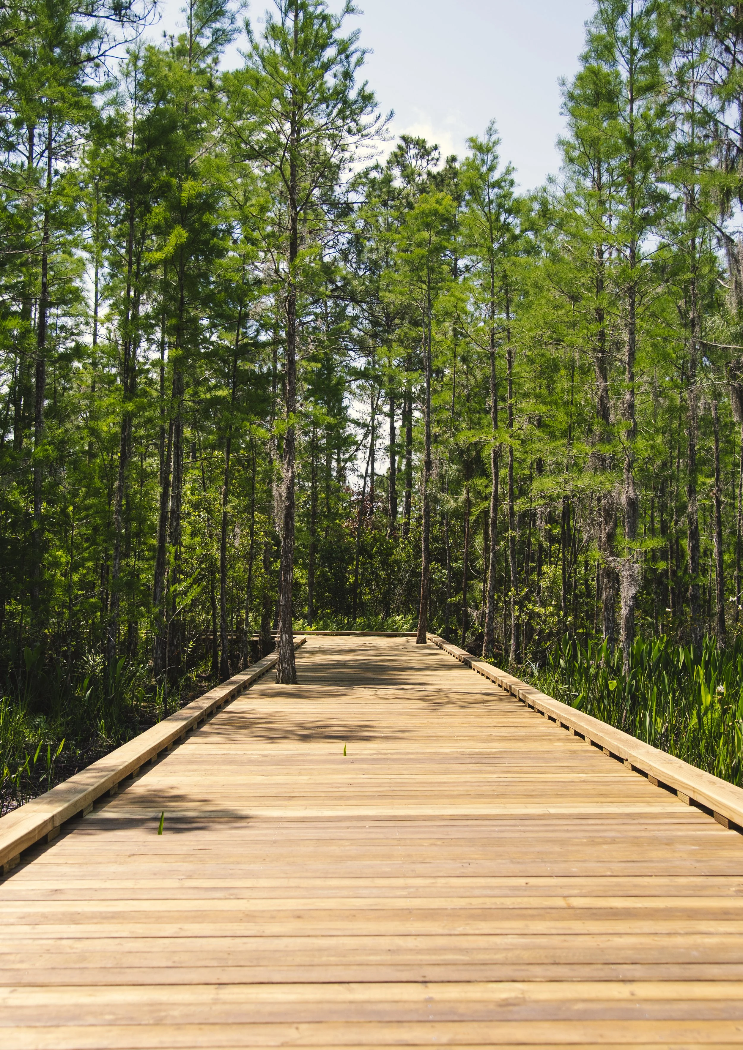 TavistockBoardwalk-27.jpg