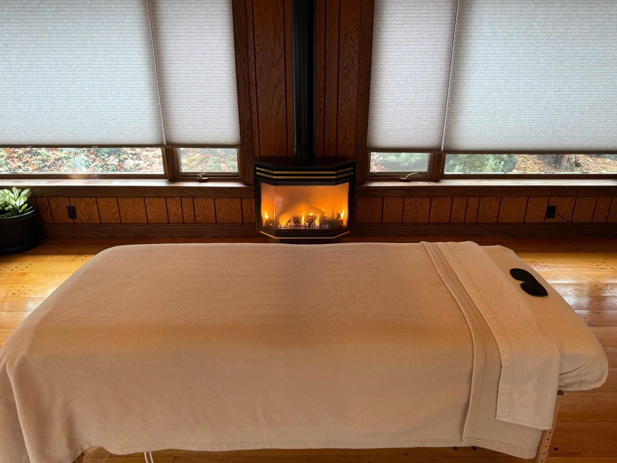 lymphatic drainage massage montgomery county pa