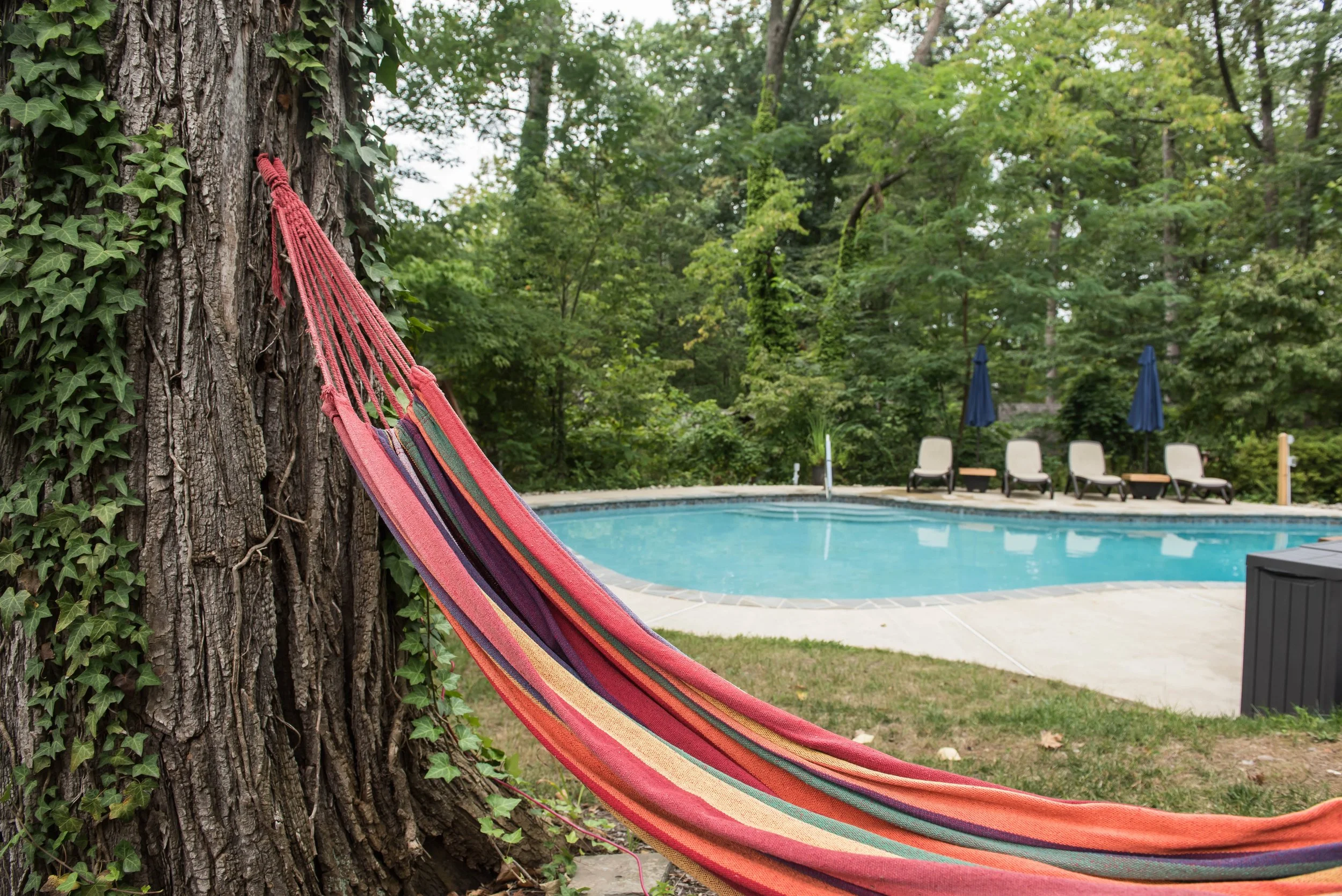 hammockbypool
