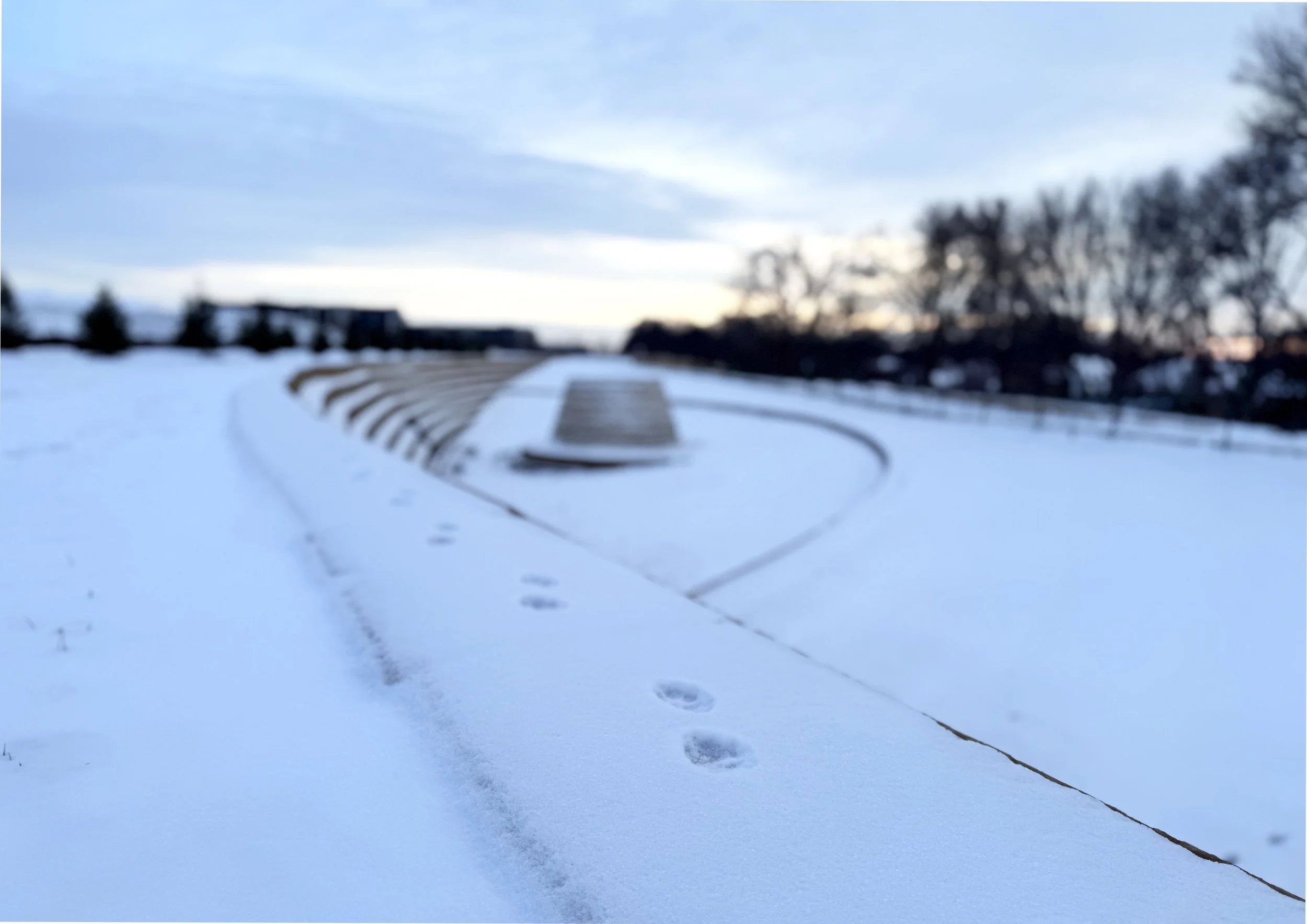 Radial_Winter Tracks.jpg