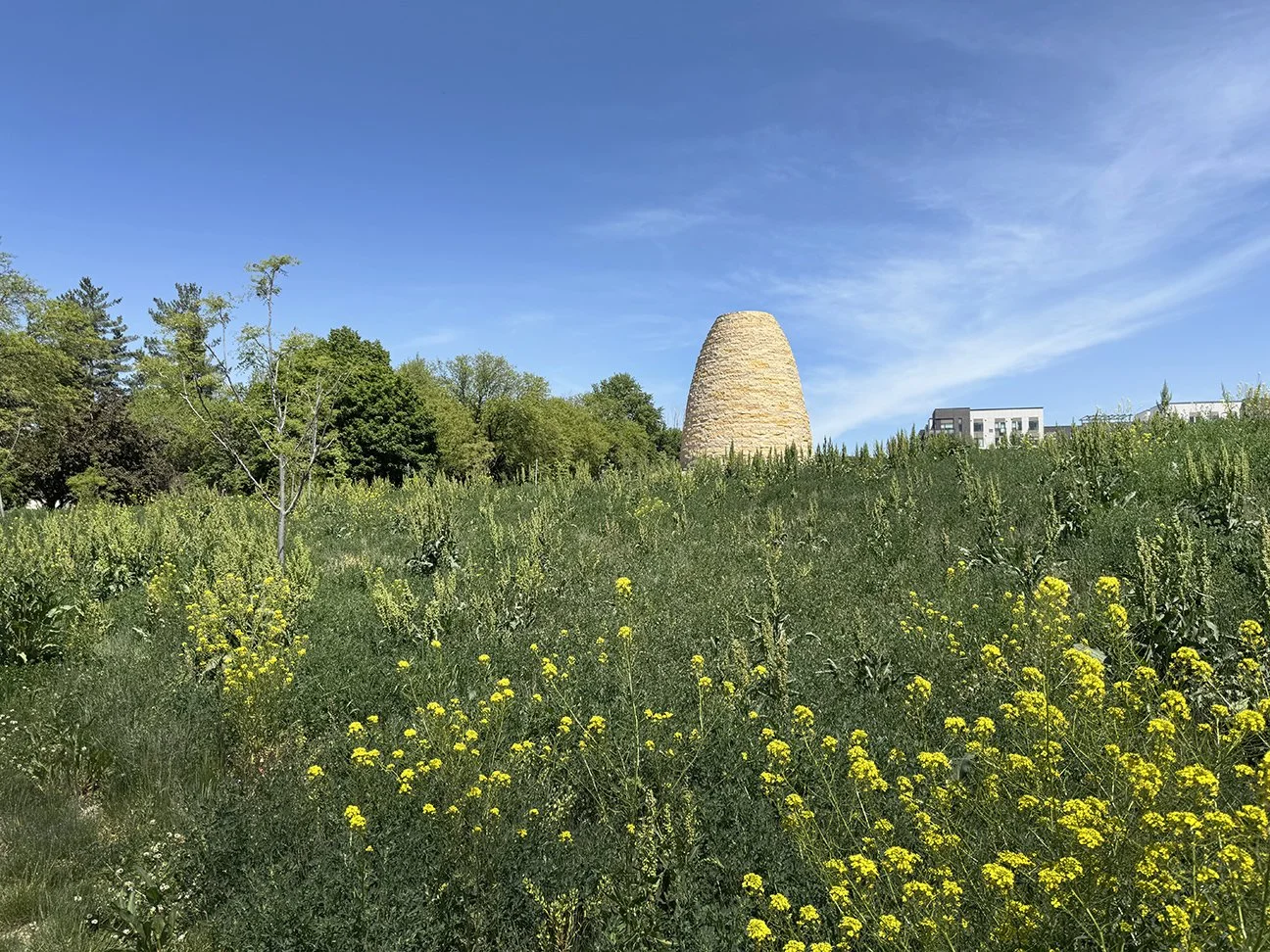 Shelter Cairn_Meadow.jpg