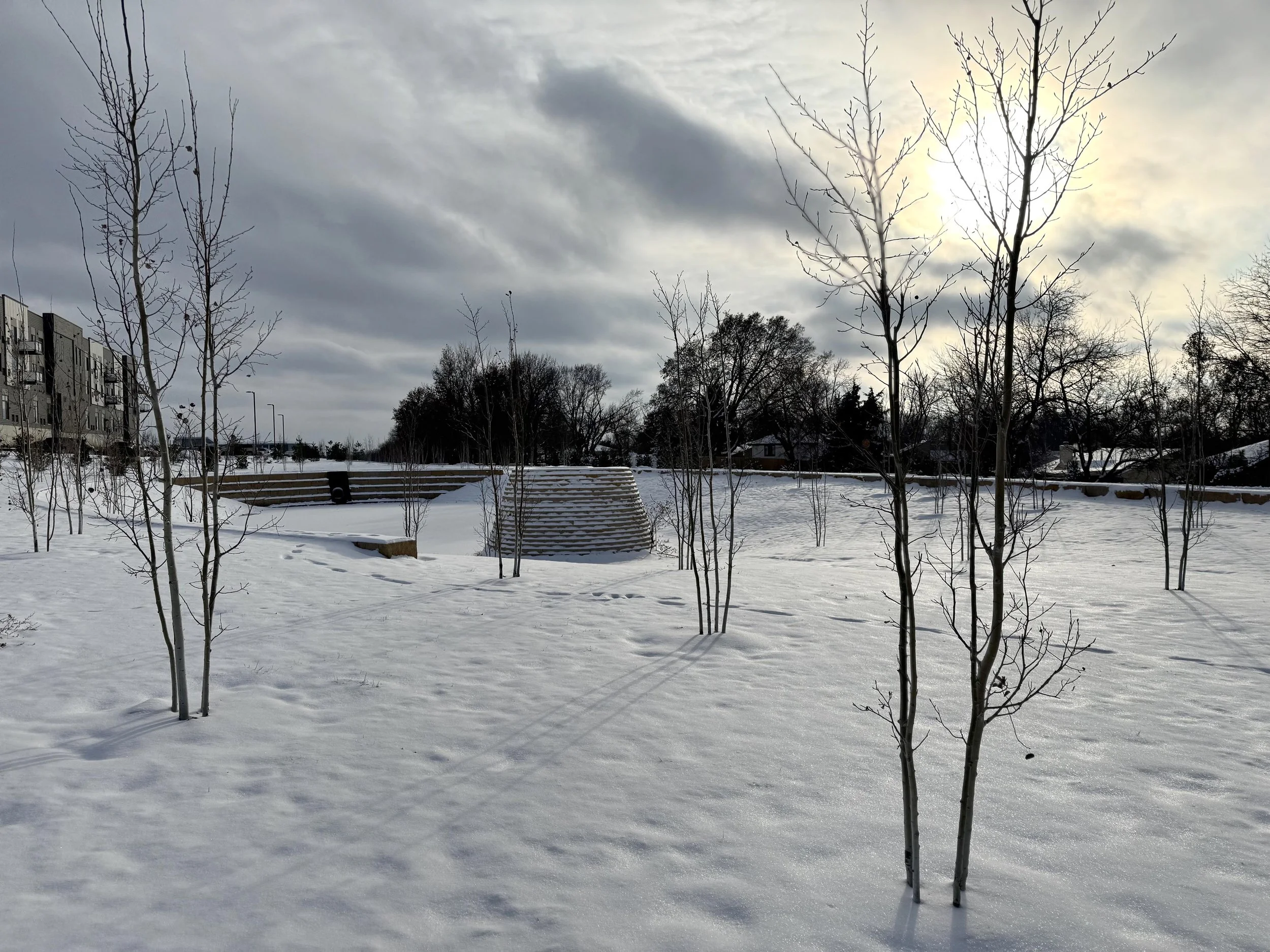 Elliptical_Winter2.jpg