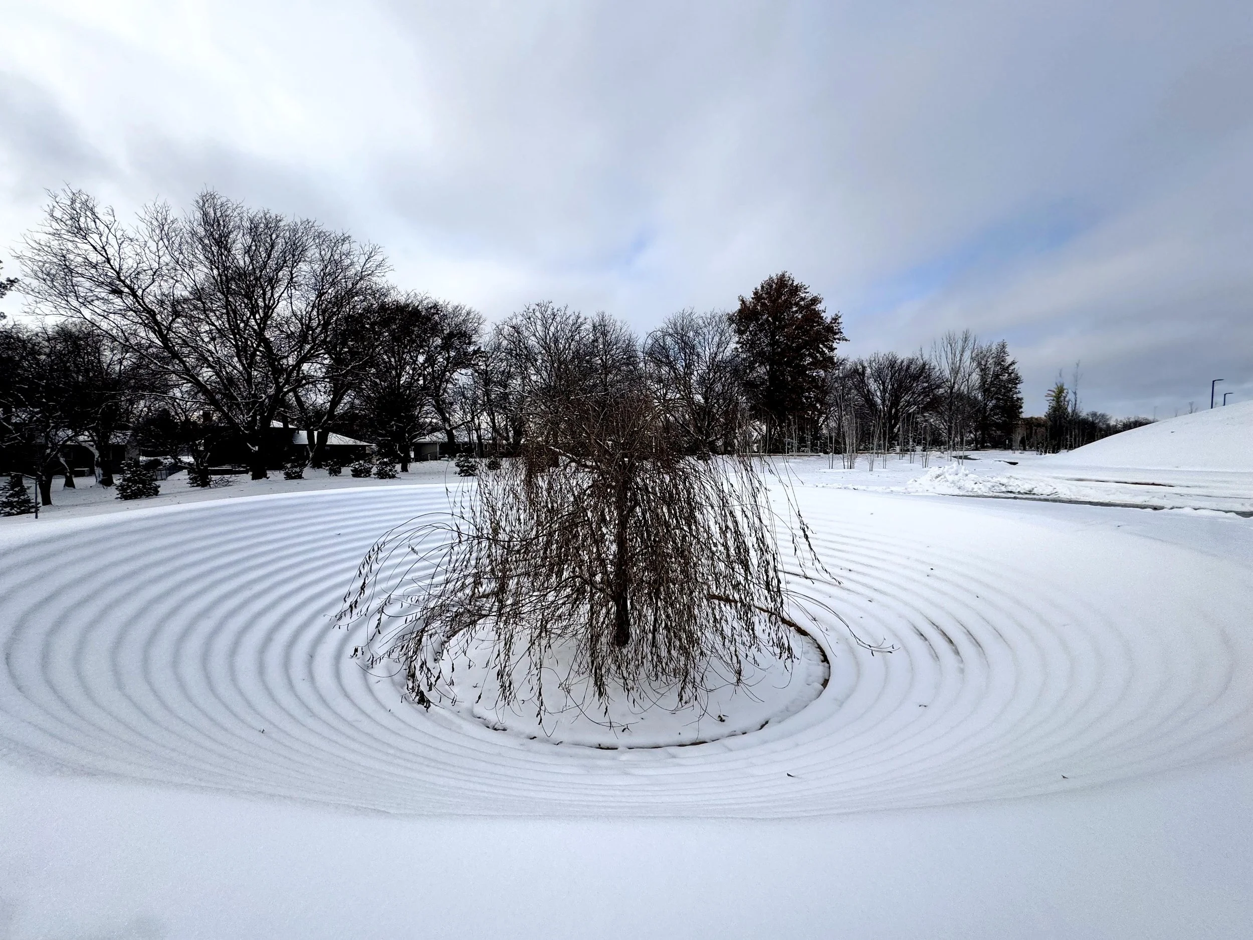 Park of Parks_Willow Bowl4.jpg