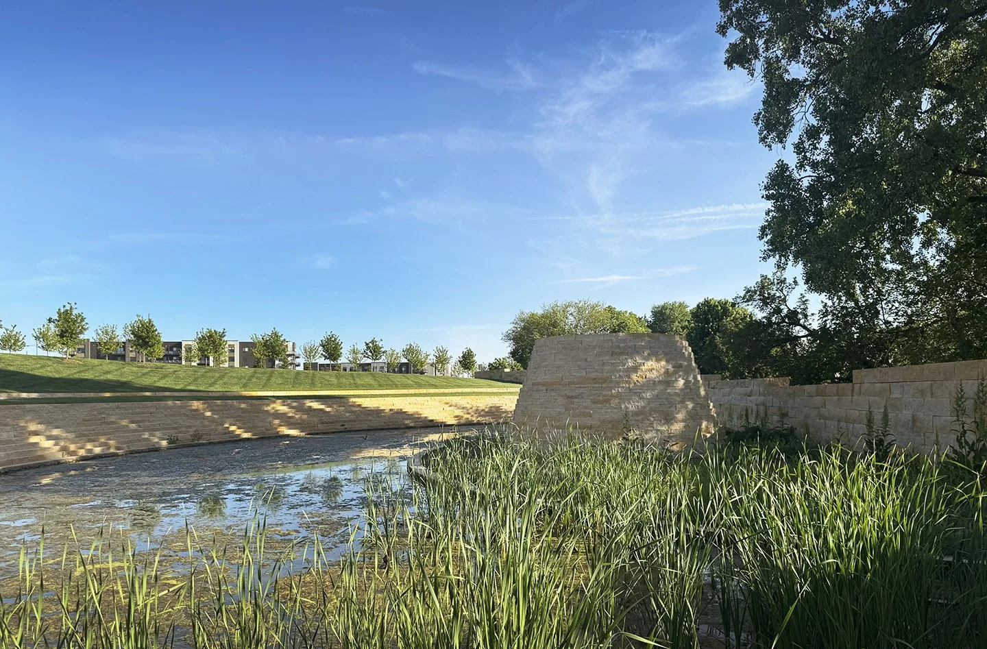 Axial Bowl_Spring_Marshy.jpg