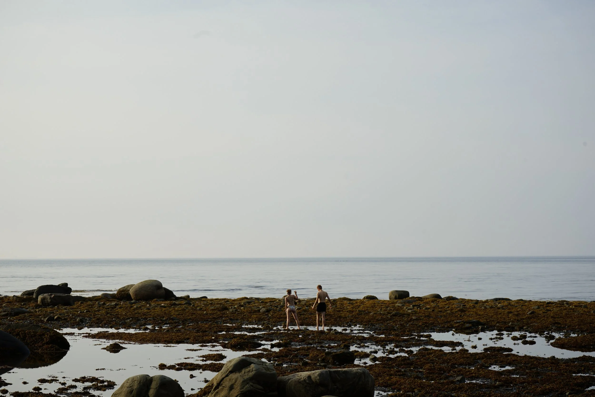 DSC03111.jpeg