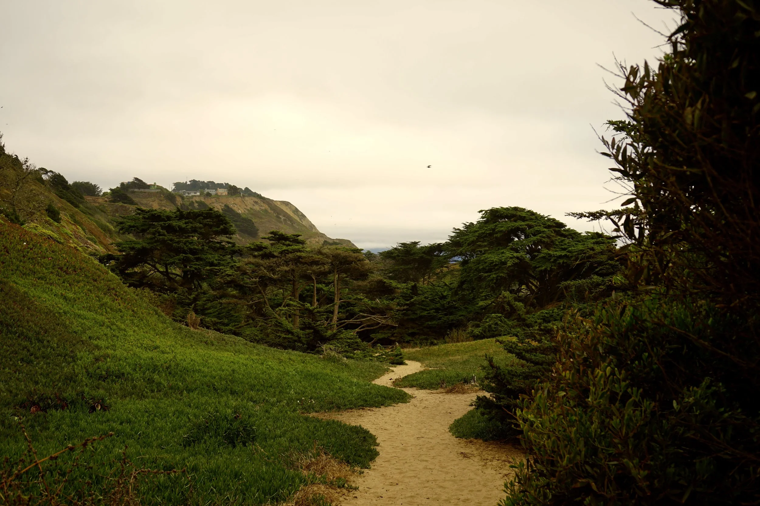 DSC04322.jpeg
