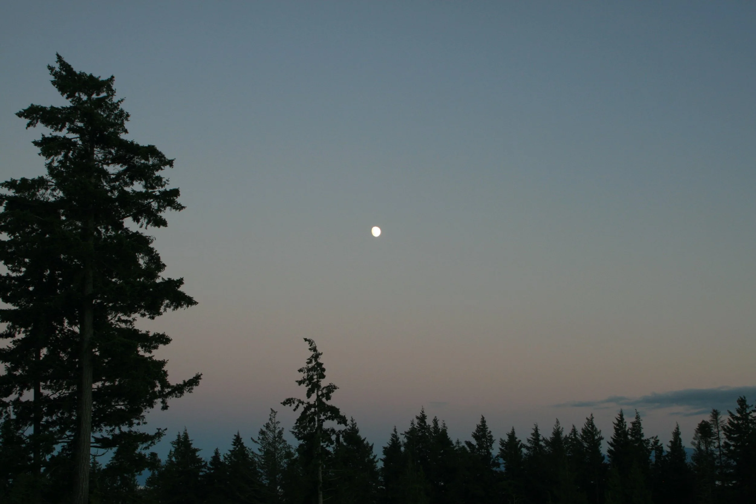 IMG_9821.jpeg