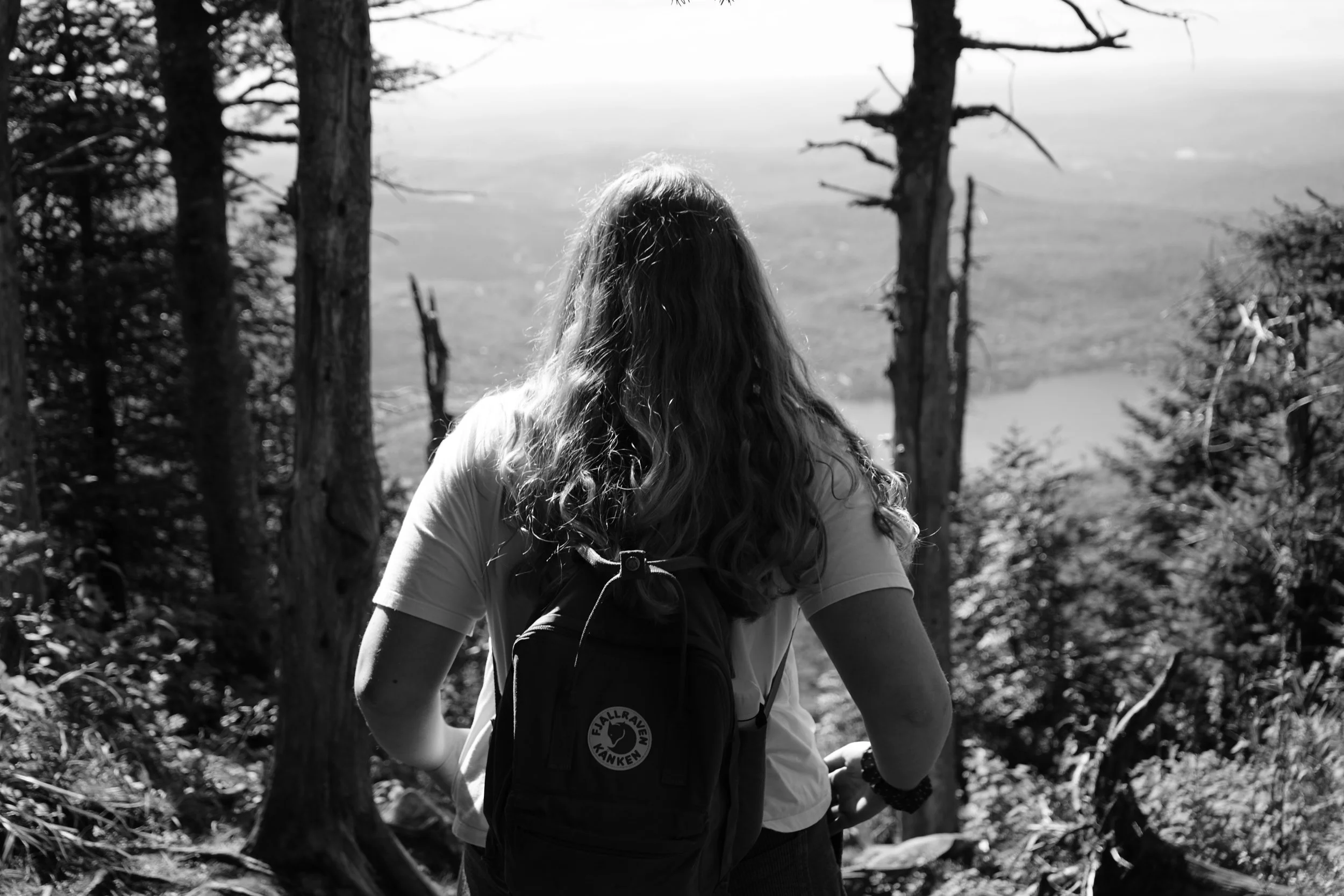 DSC01963.jpeg