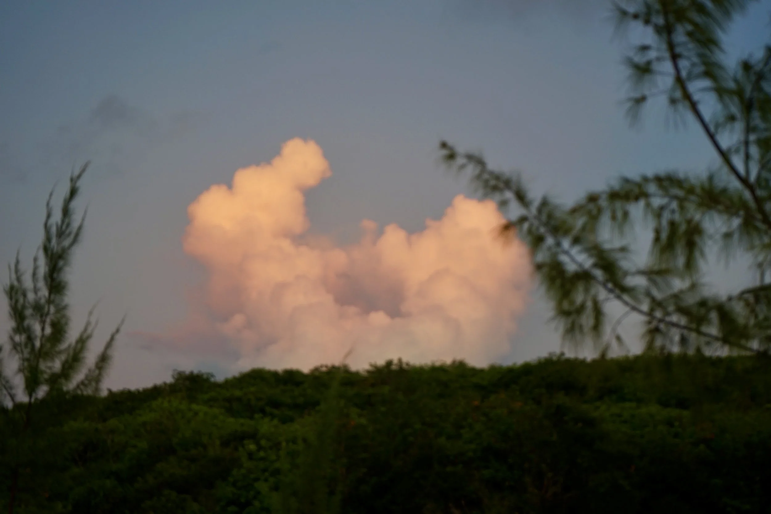 DSC03945.jpeg