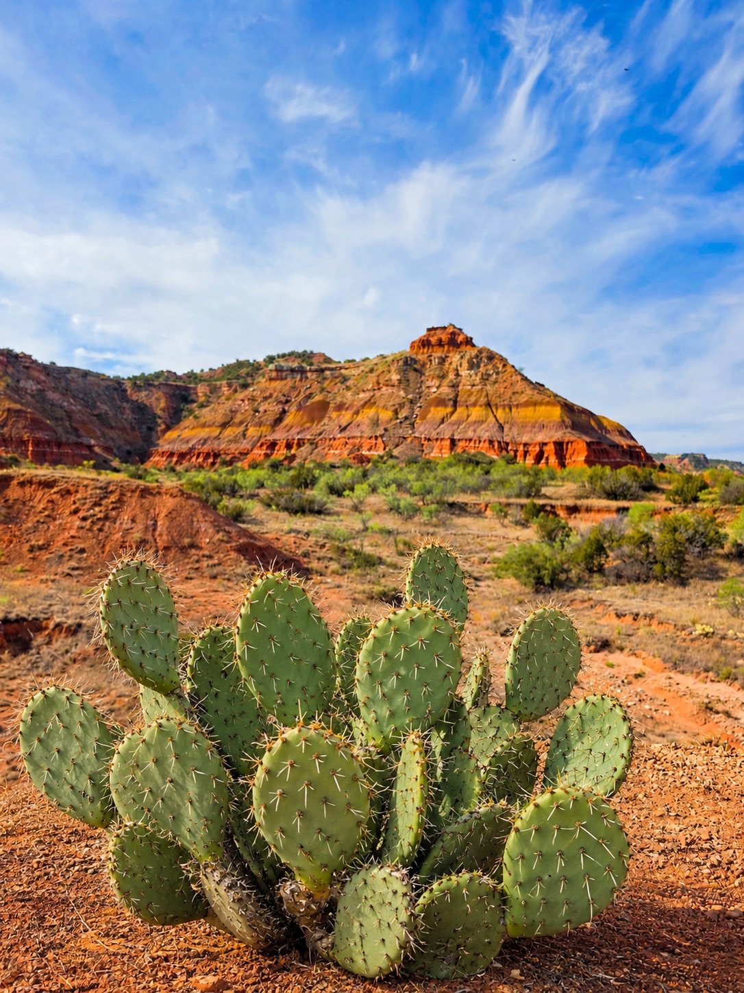 A Journey Through Texas’ Hidden Wonder
