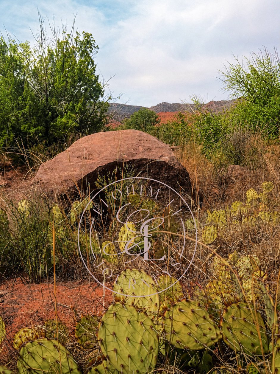 Palo Duro Canyon State Park (08).JPG