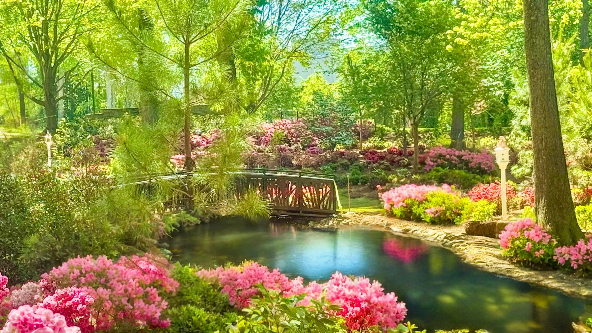 A Journey Through Quiet Beauty: Raleigh, North Carolina